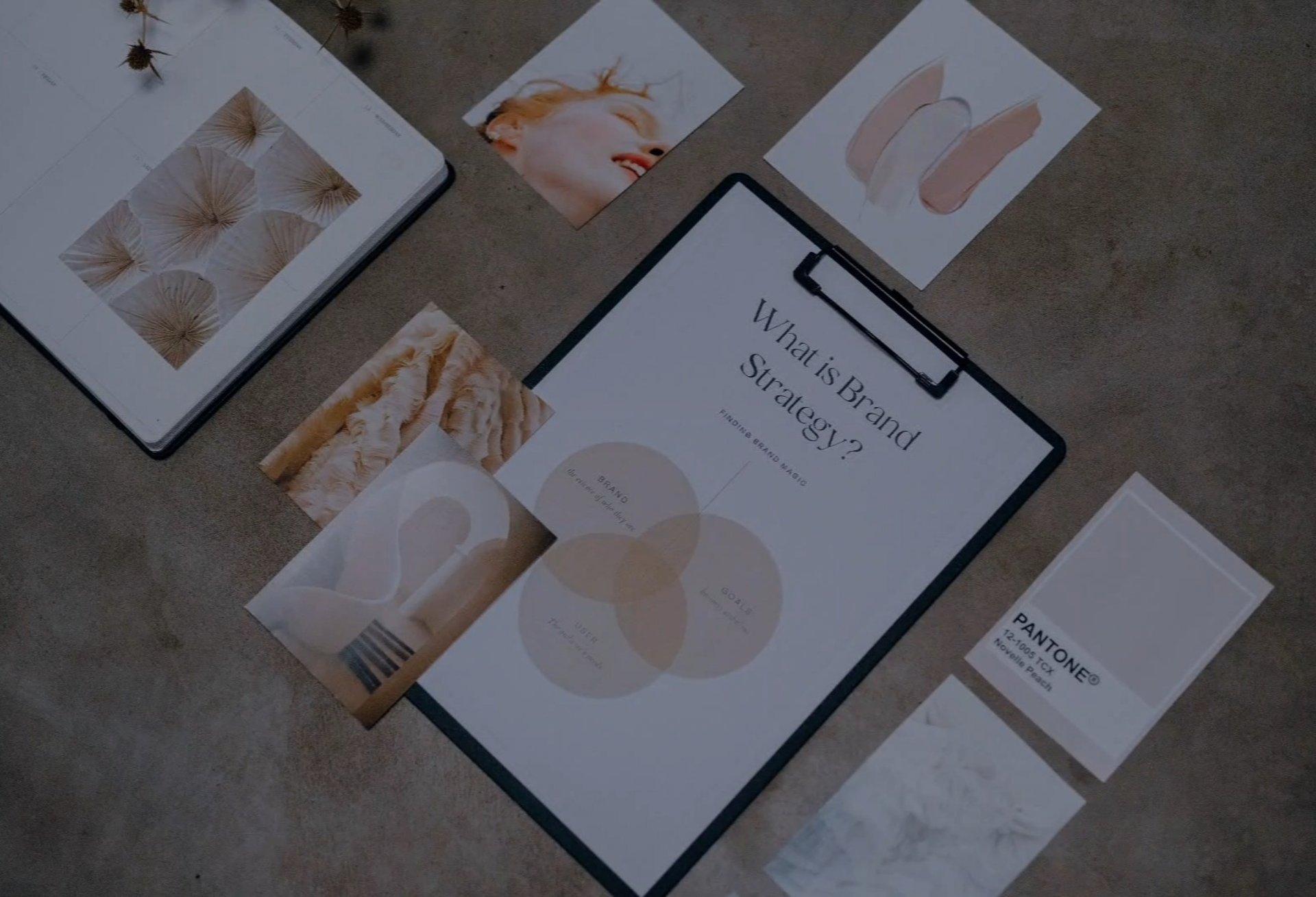 coaching professionnel - gustavine