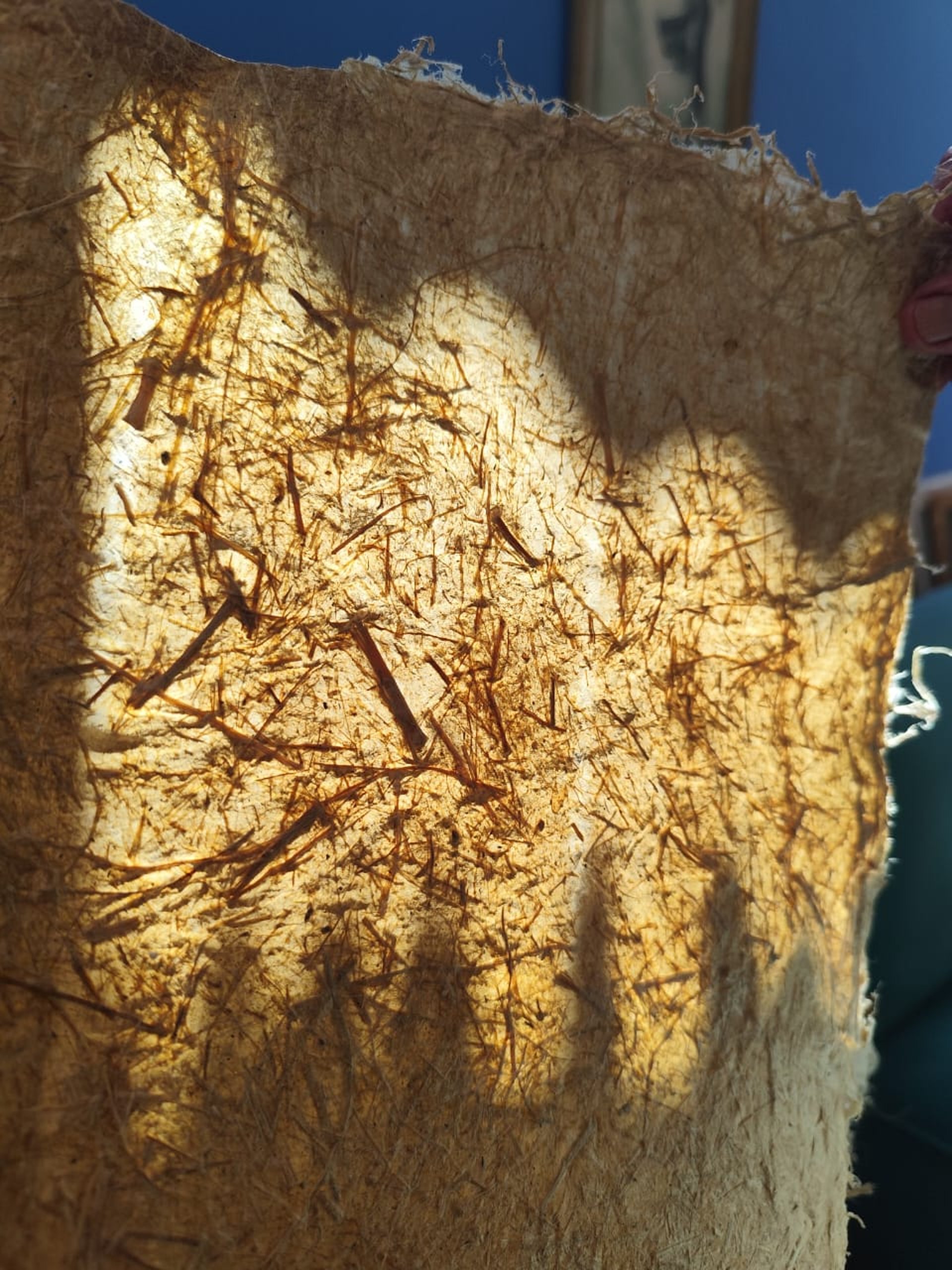 black blue and yellow textile