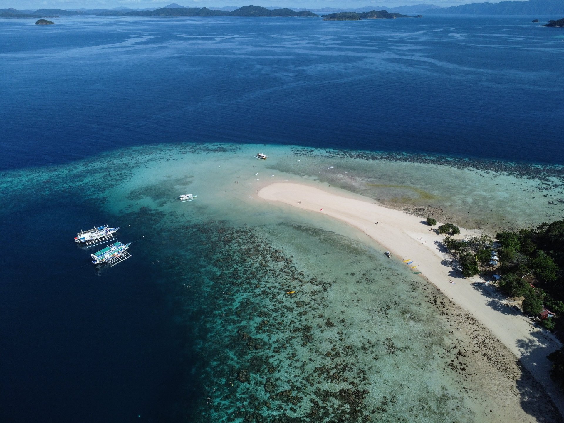 bird's-eye view of white temple surround by trees
