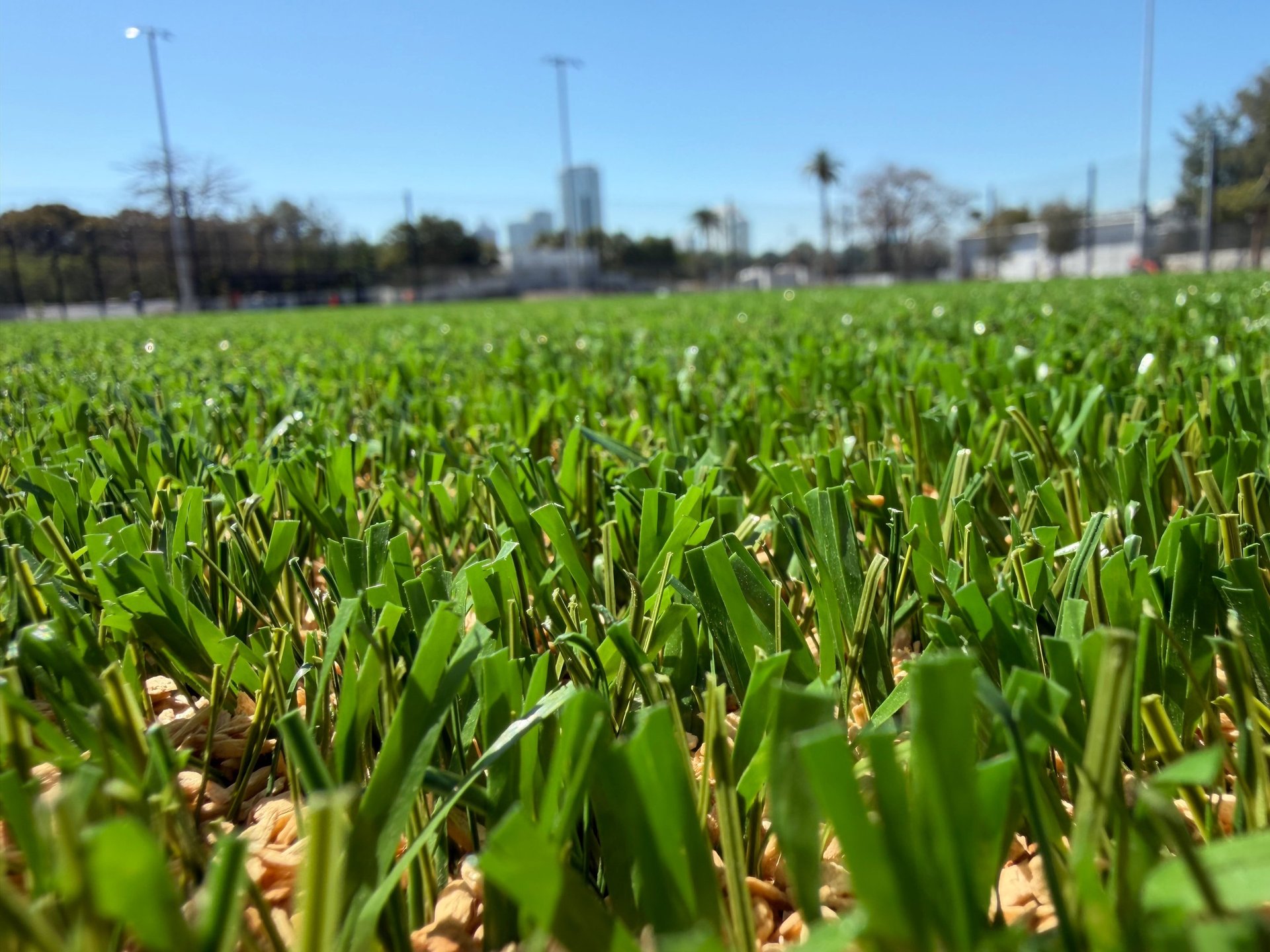 woman wearing yellow long-sleeved dress under white clouds and blue sky during daytime
