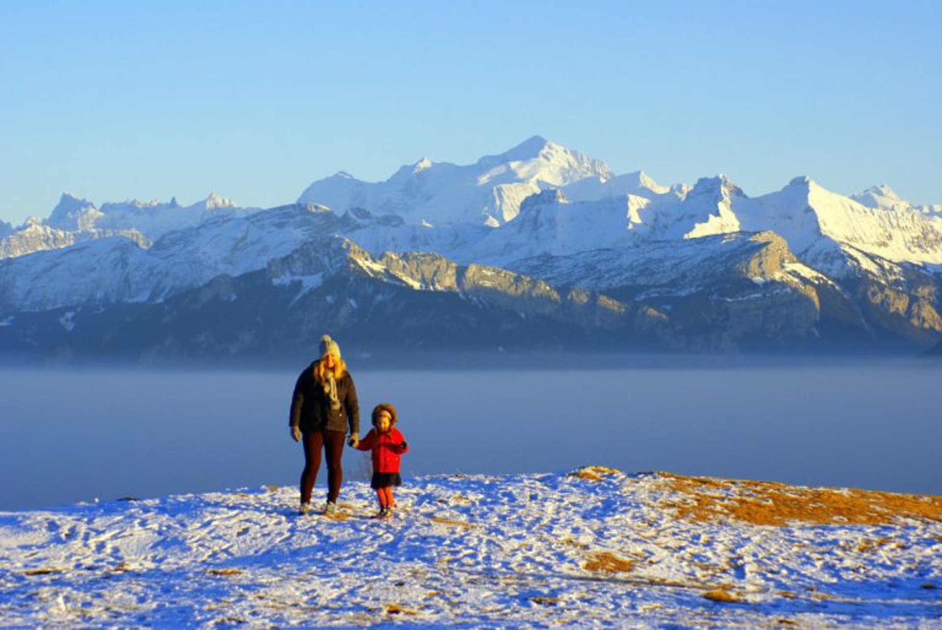 Mont blanc vu depuis Mont Salève 