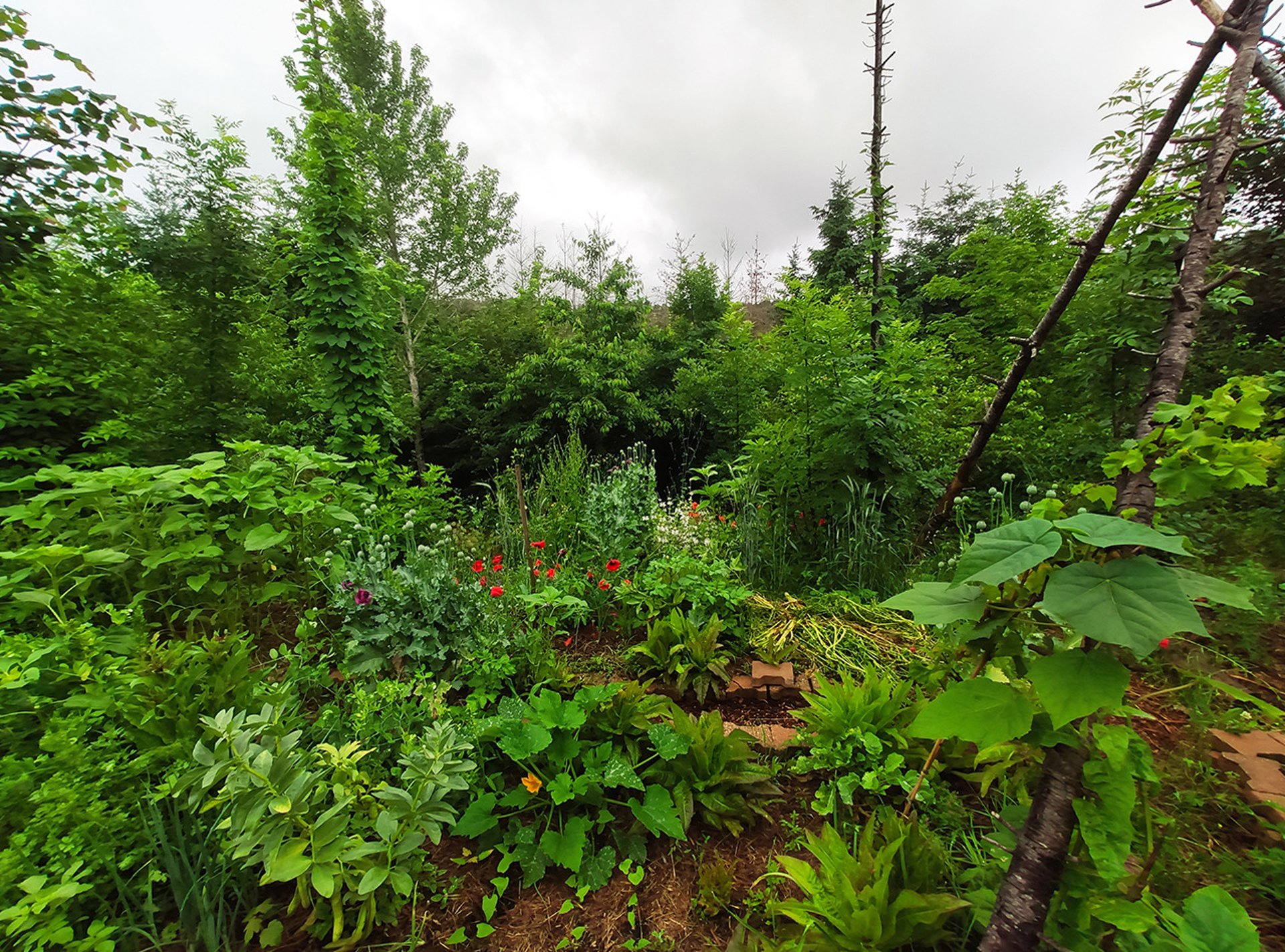 mountain range under blue sky