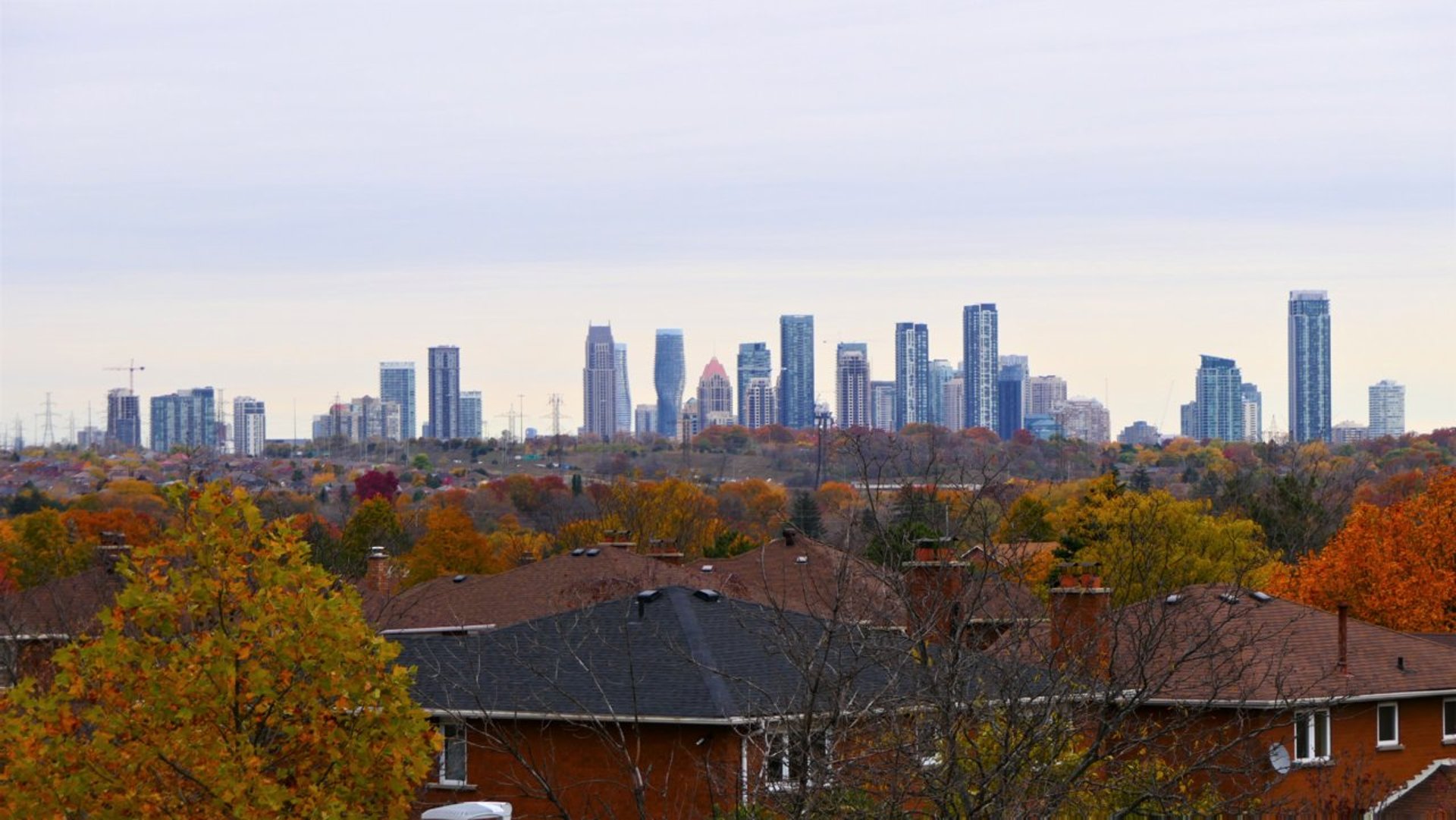 black and brown leather padded tub sofa
