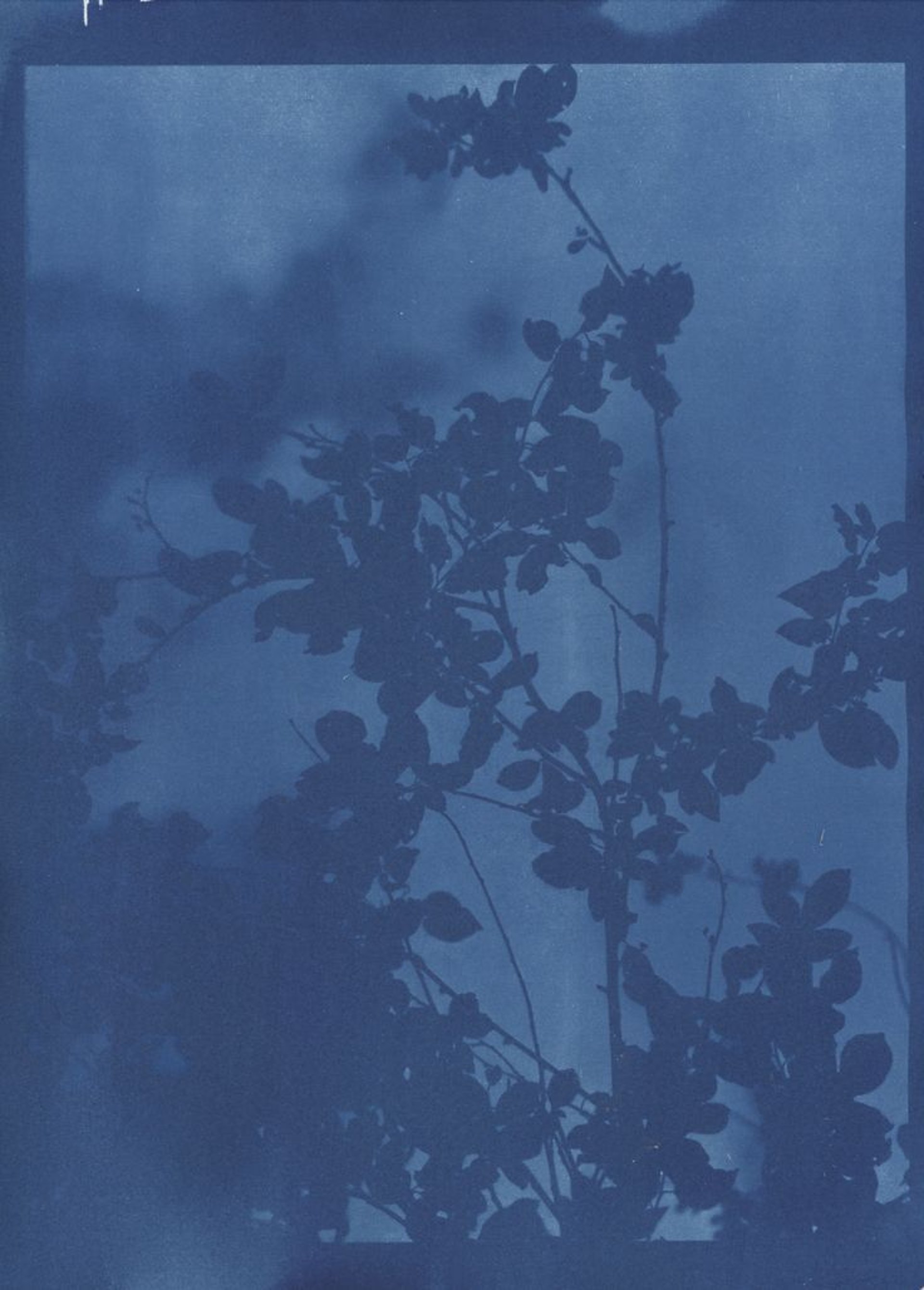 black blue and yellow textile