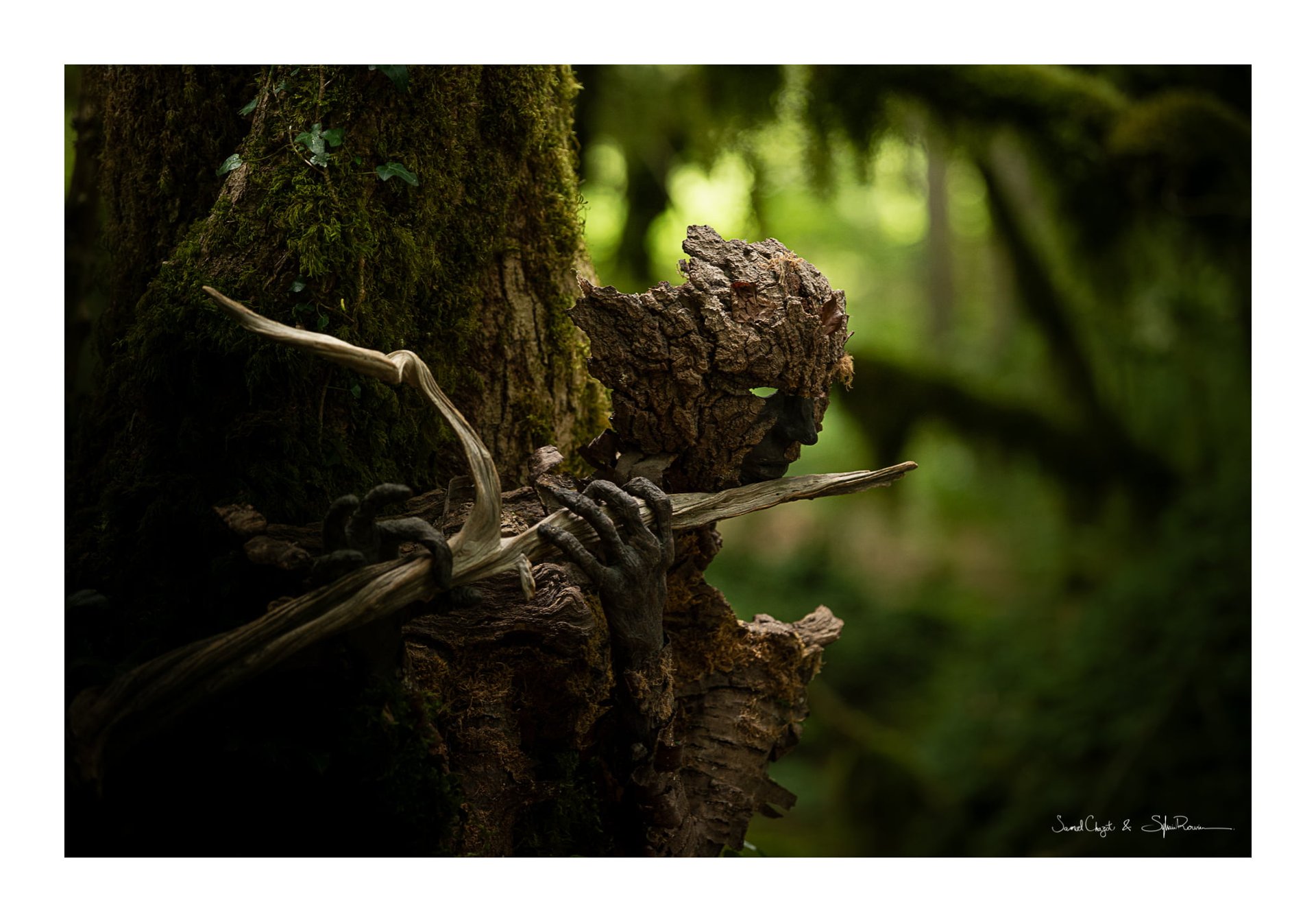 Sculpture masque d’écorce suspendue dans un environnement forestier, œuvre de Samuel Chazot explorant le lien entre art et na