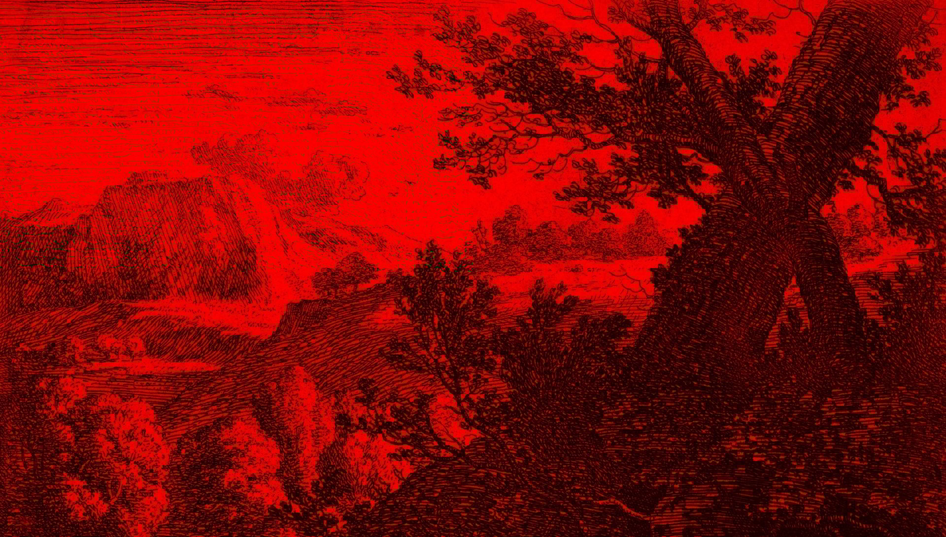 Psychadelic salmon skeleton mandala in green and black; title Severed Branches Press 