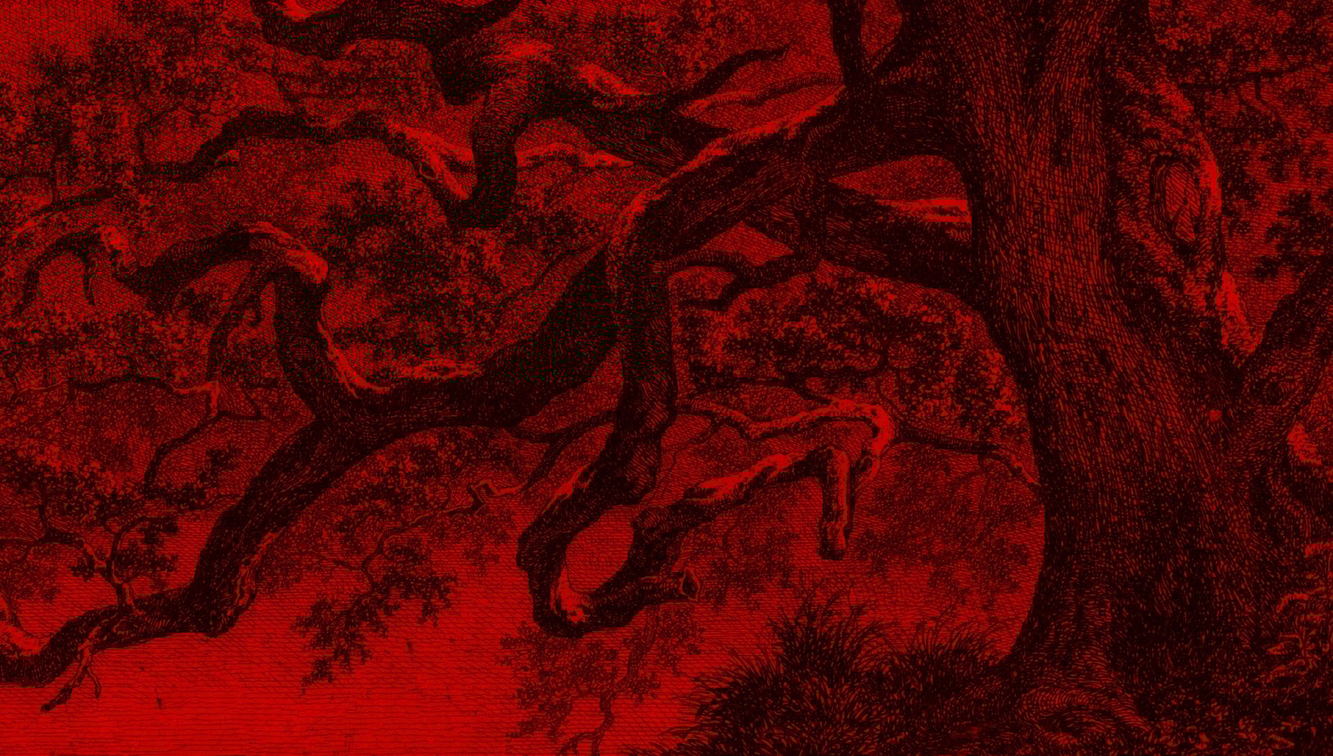 Psychadelic salmon skeleton mandala in green and black; title Severed Branches Press 