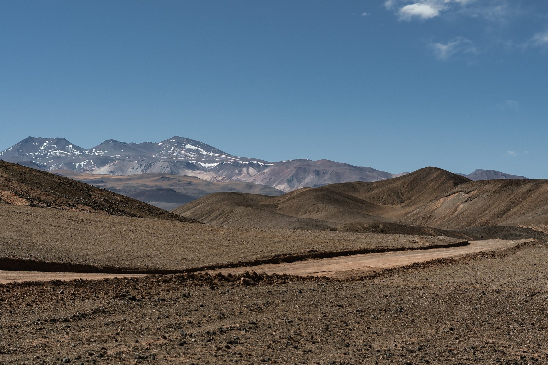 a group of flamingos standing in the water in front of a mountain range