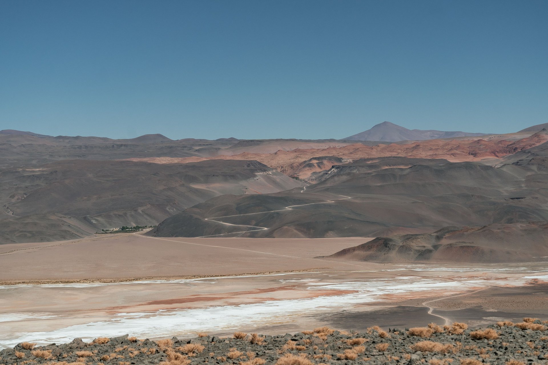 a group of flamingos standing in the water in front of a mountain range