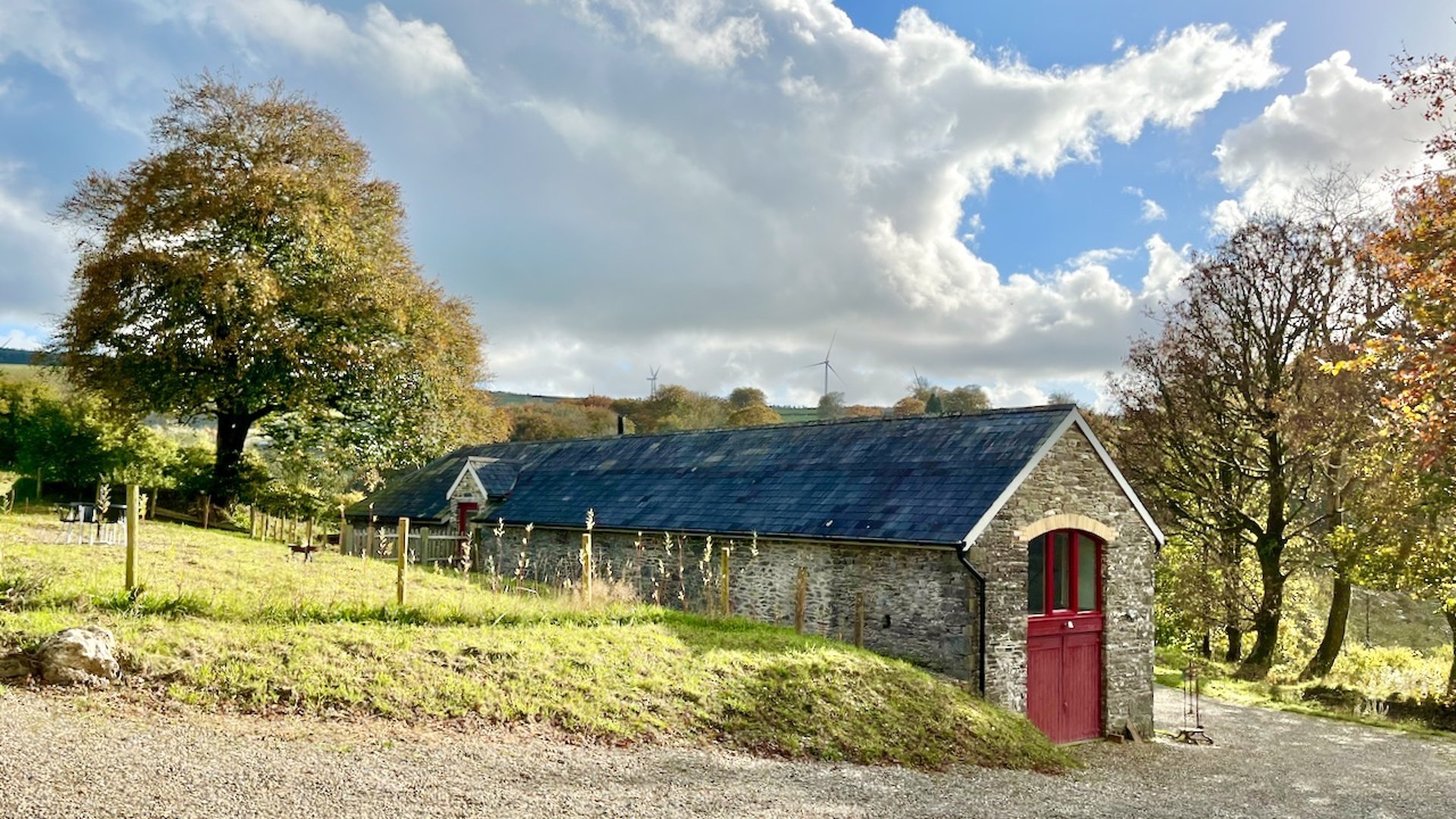 the garden behind the hayloft with a large beech tree