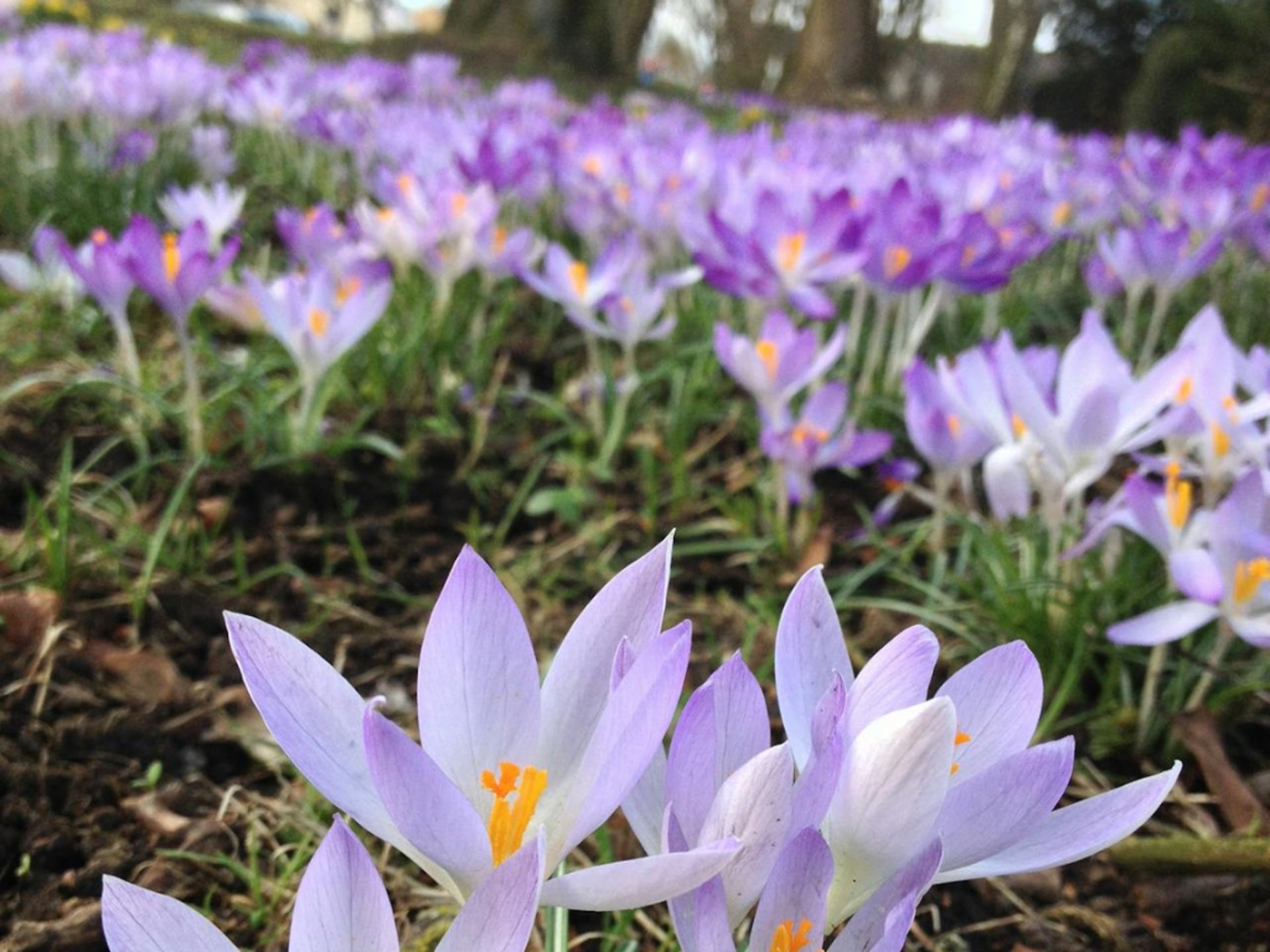 gray computer monitor