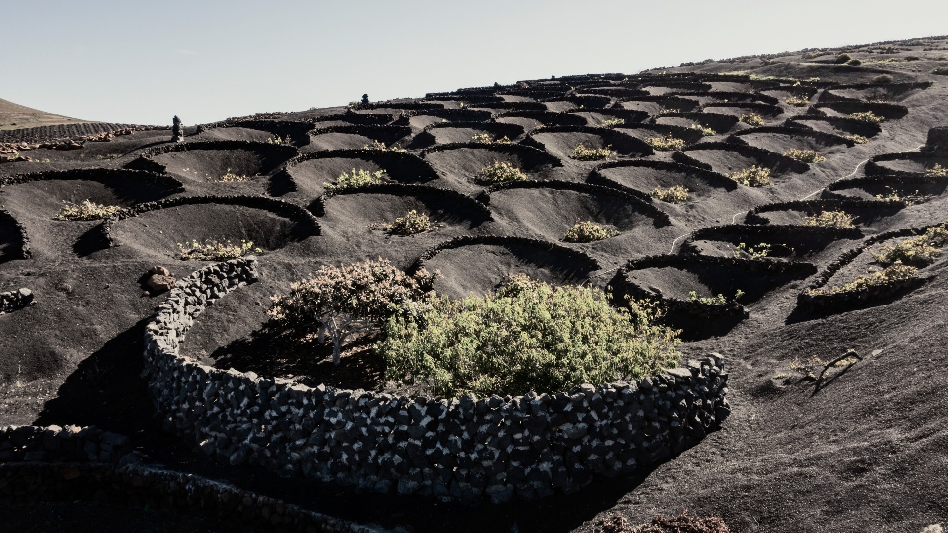 an abstract photo of a curved building with a blue sky in the background
