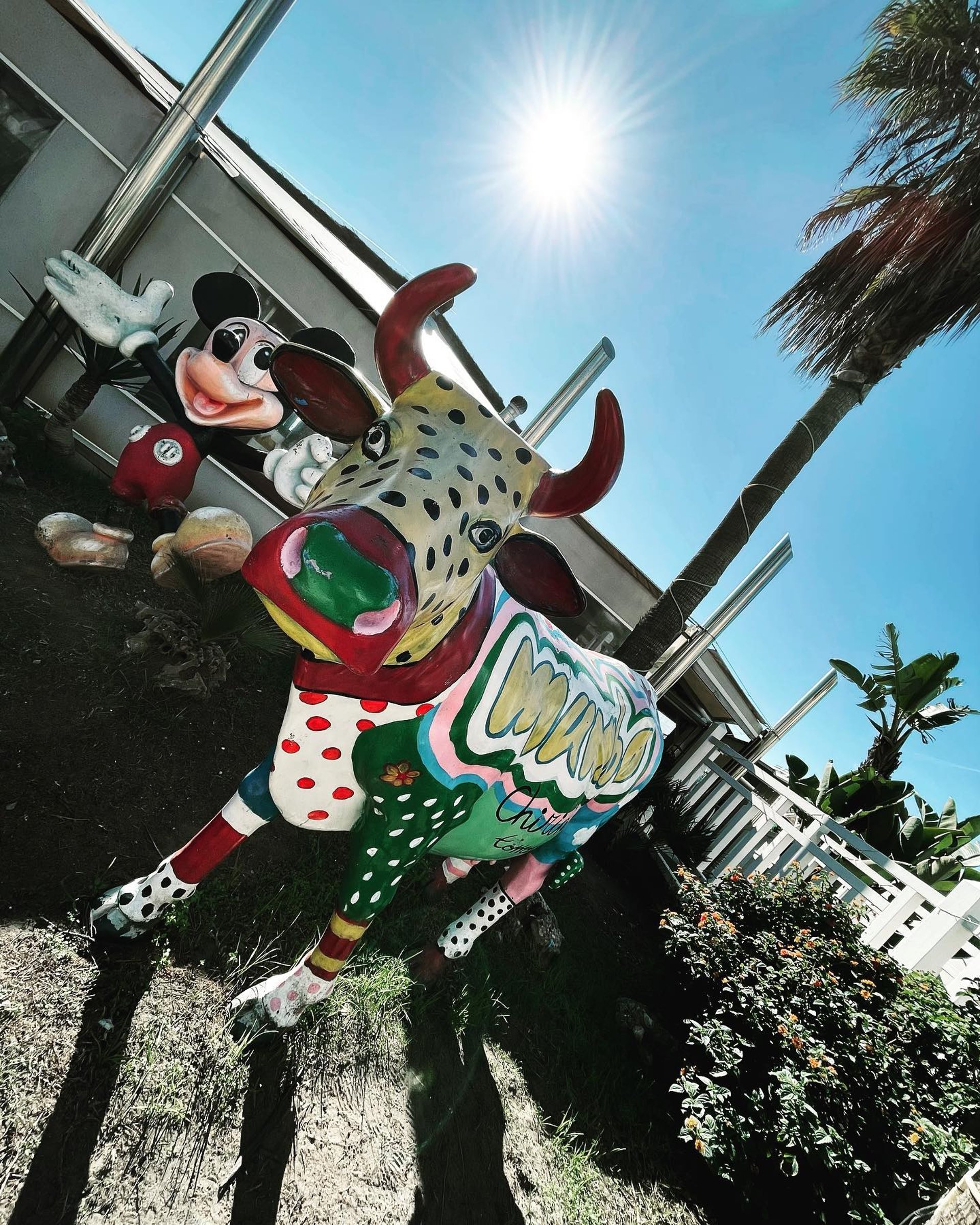 gray computer monitor