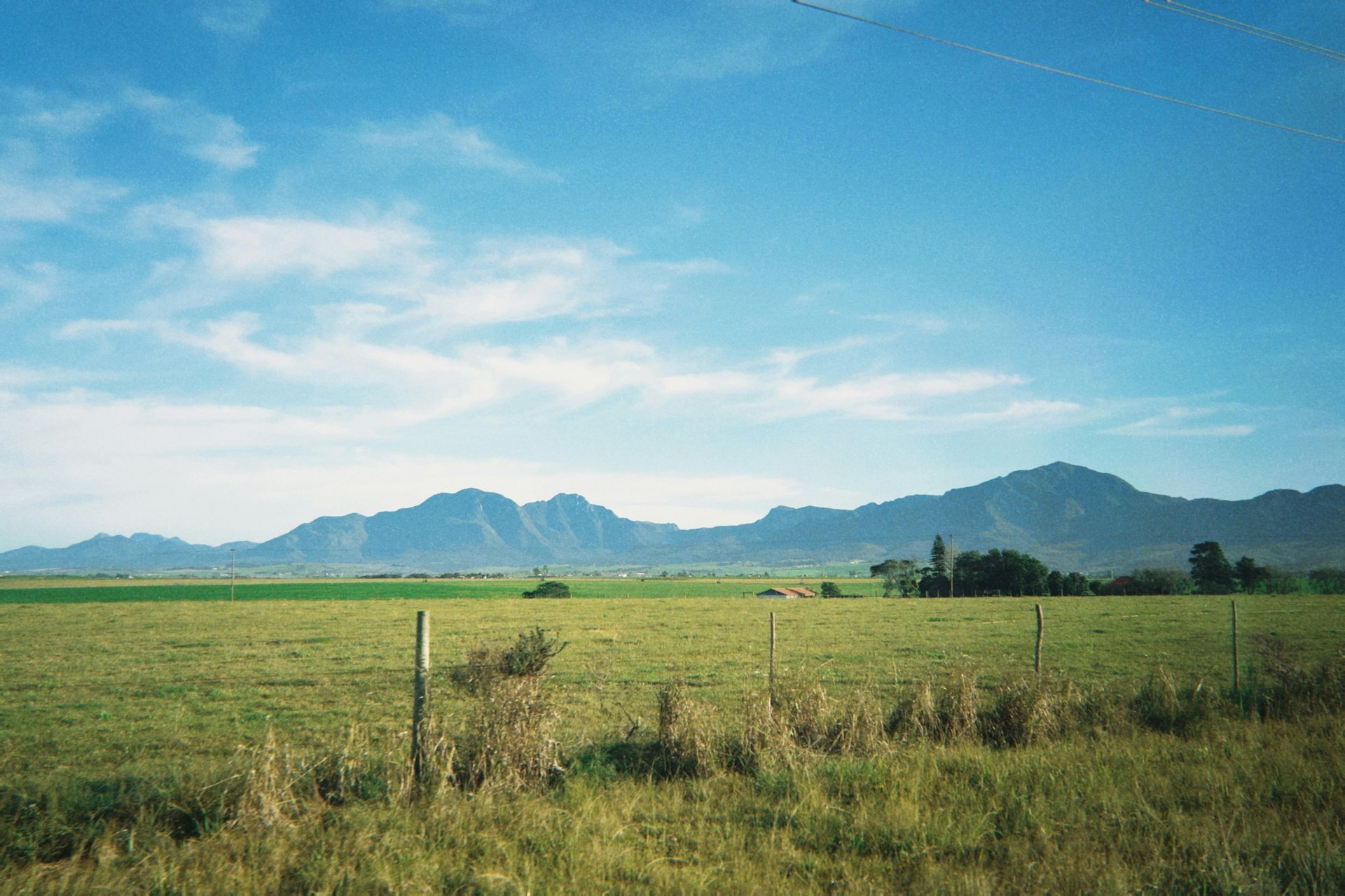 woman wearing yellow long-sleeved dress under white clouds and blue sky during daytime