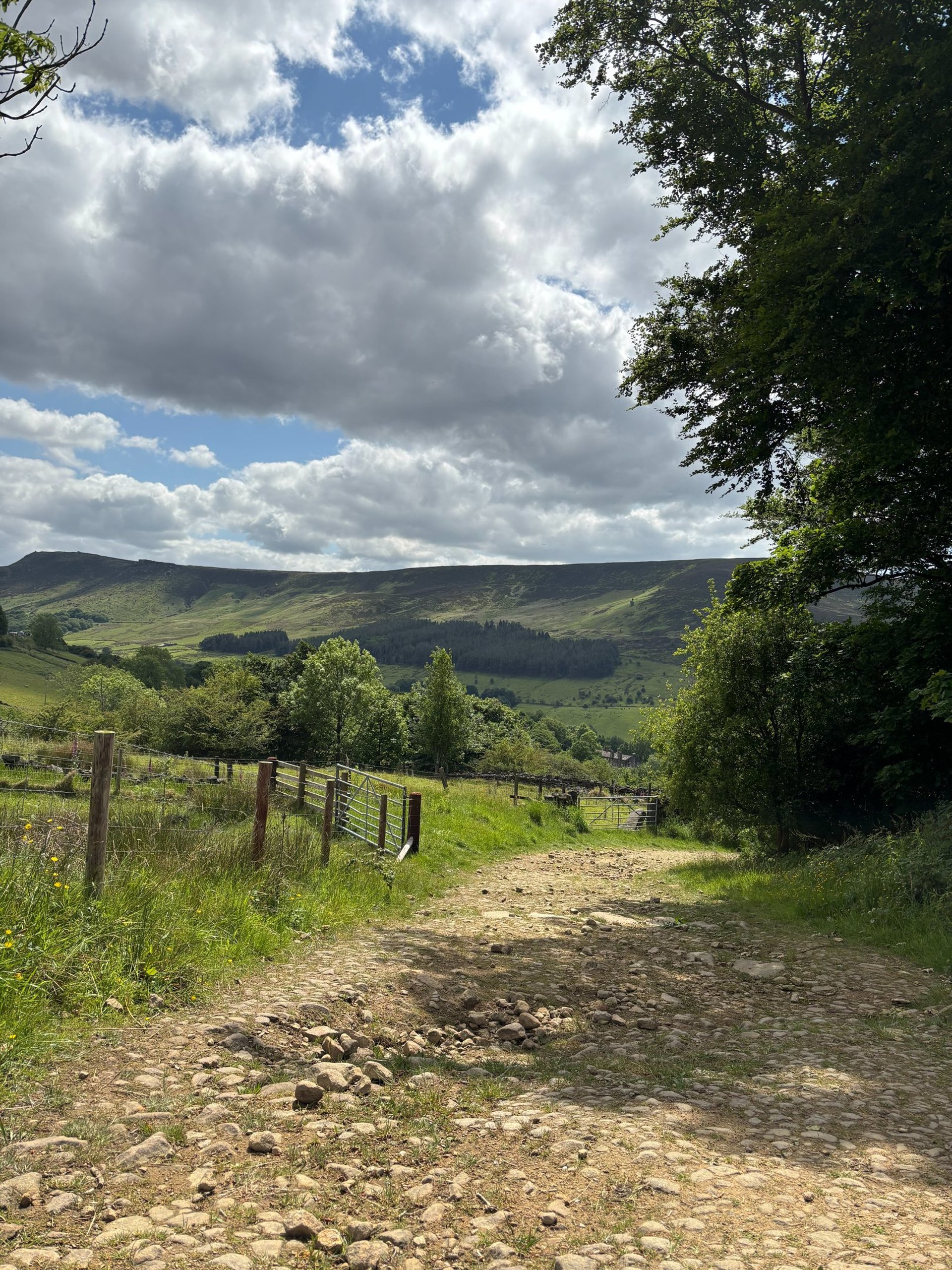 English summer countryside scene of a long winding track with rolling hills in the backgrond.