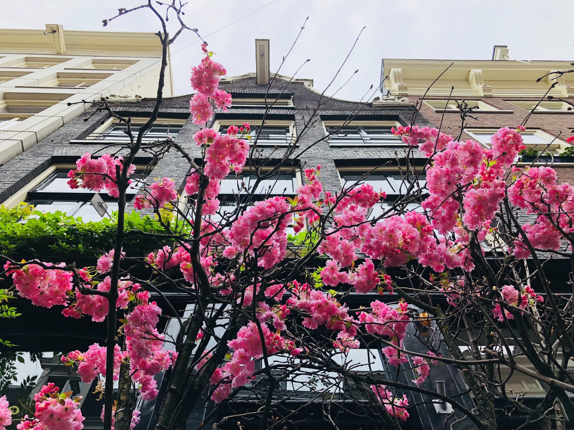 woman wearing yellow long-sleeved dress under white clouds and blue sky during daytime