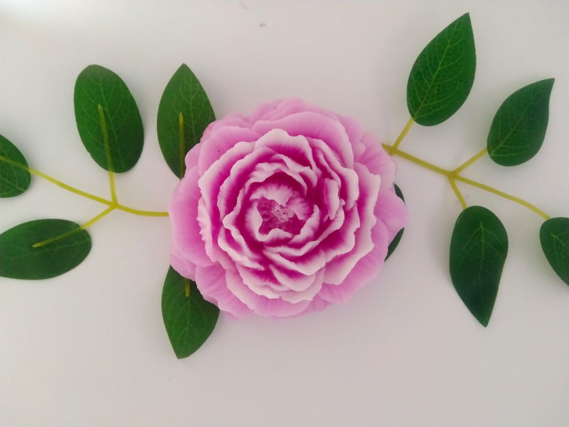 woman holding dried flower
