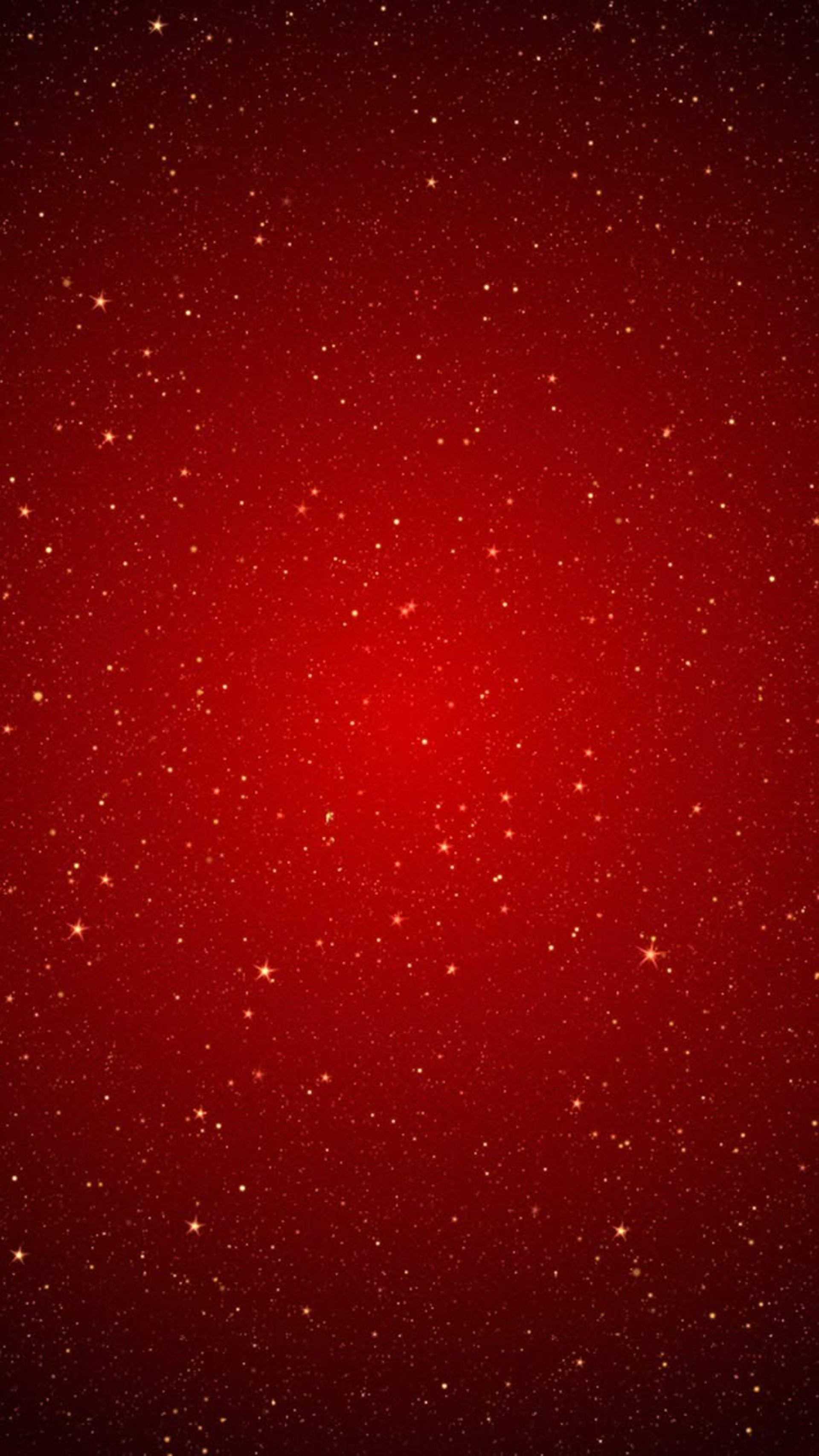 a close up of a red flower on a black background