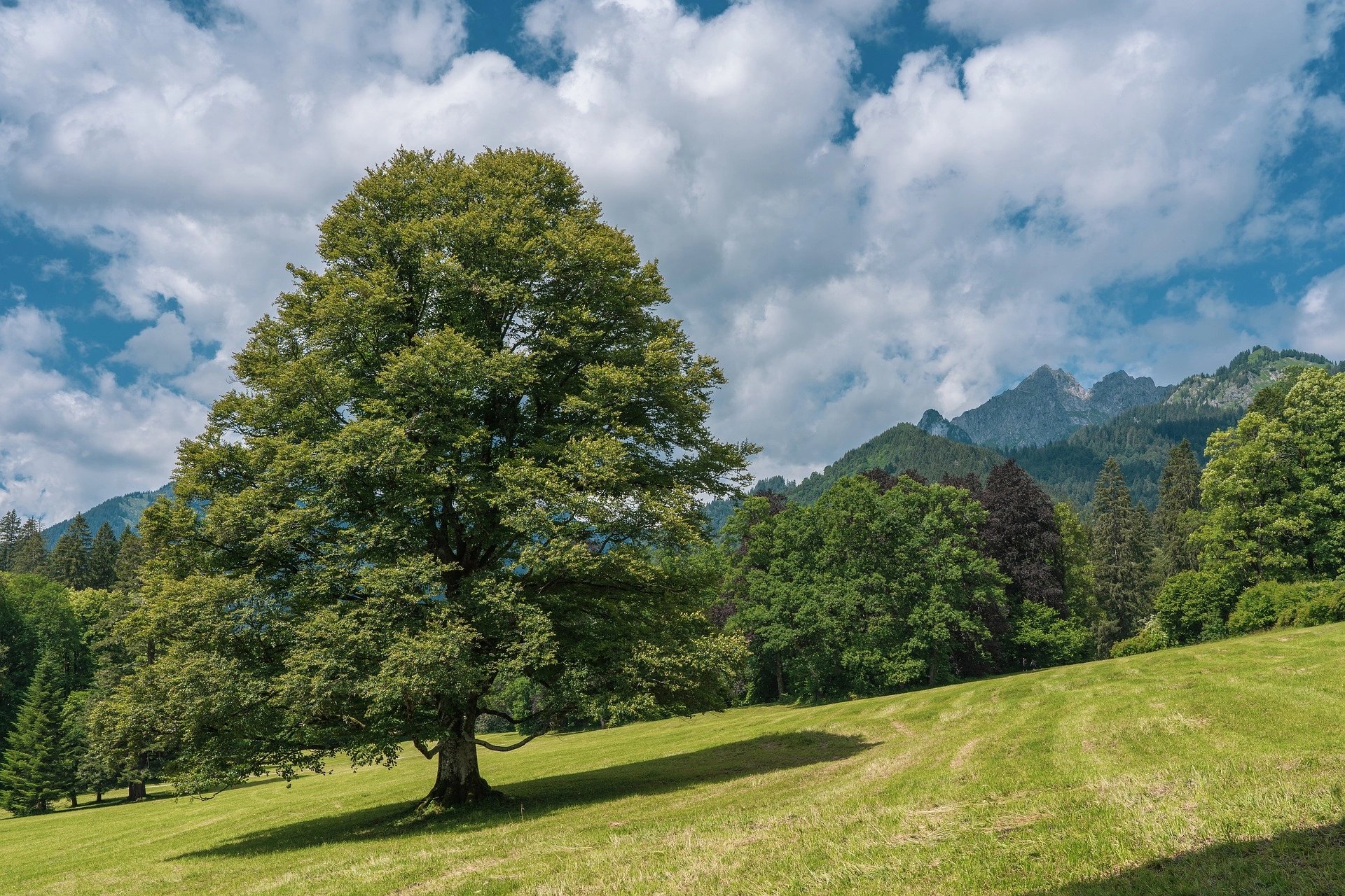 an abstract photo of a curved building with a blue sky in the background