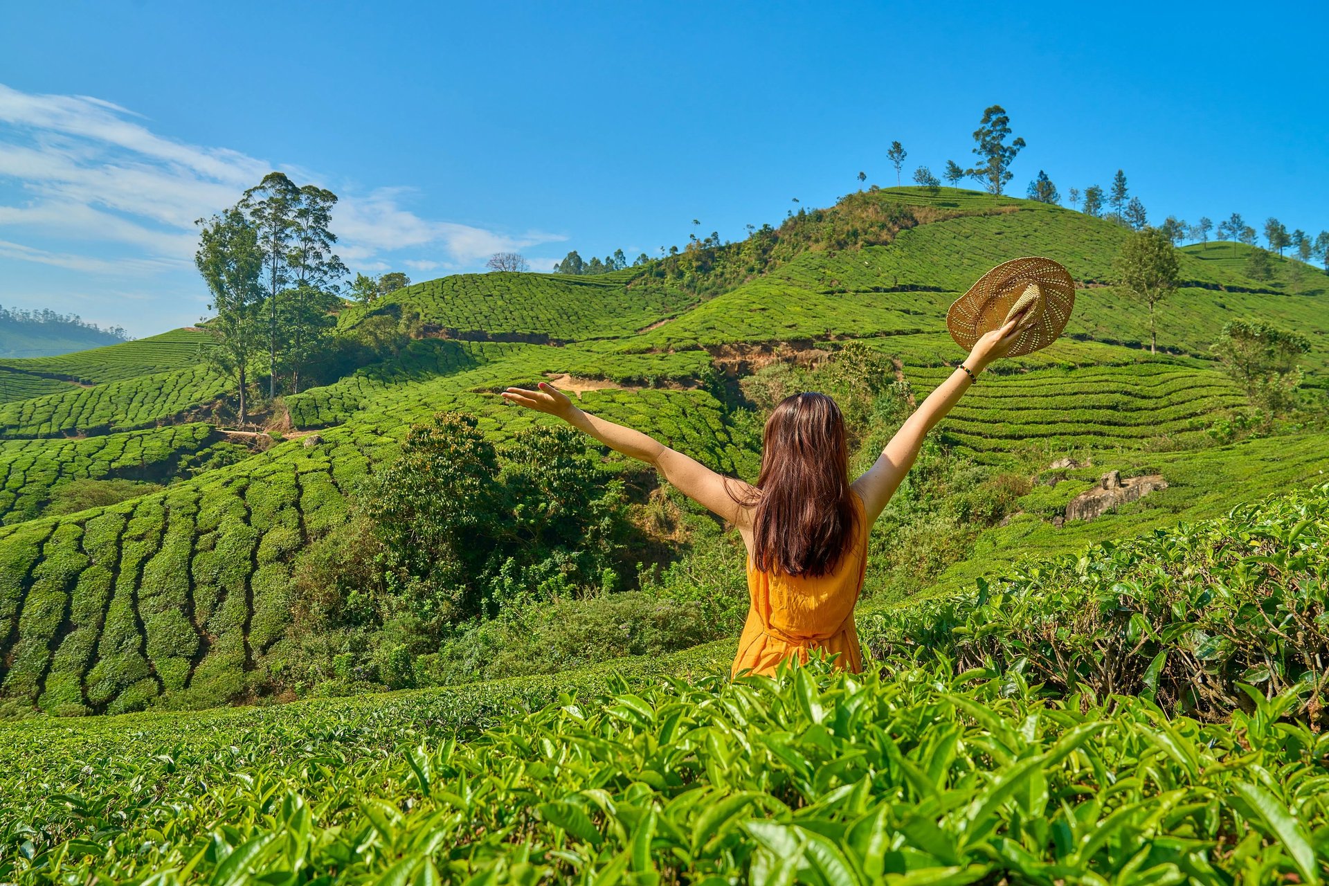 A girl in awe of Lekshmi tea estates.