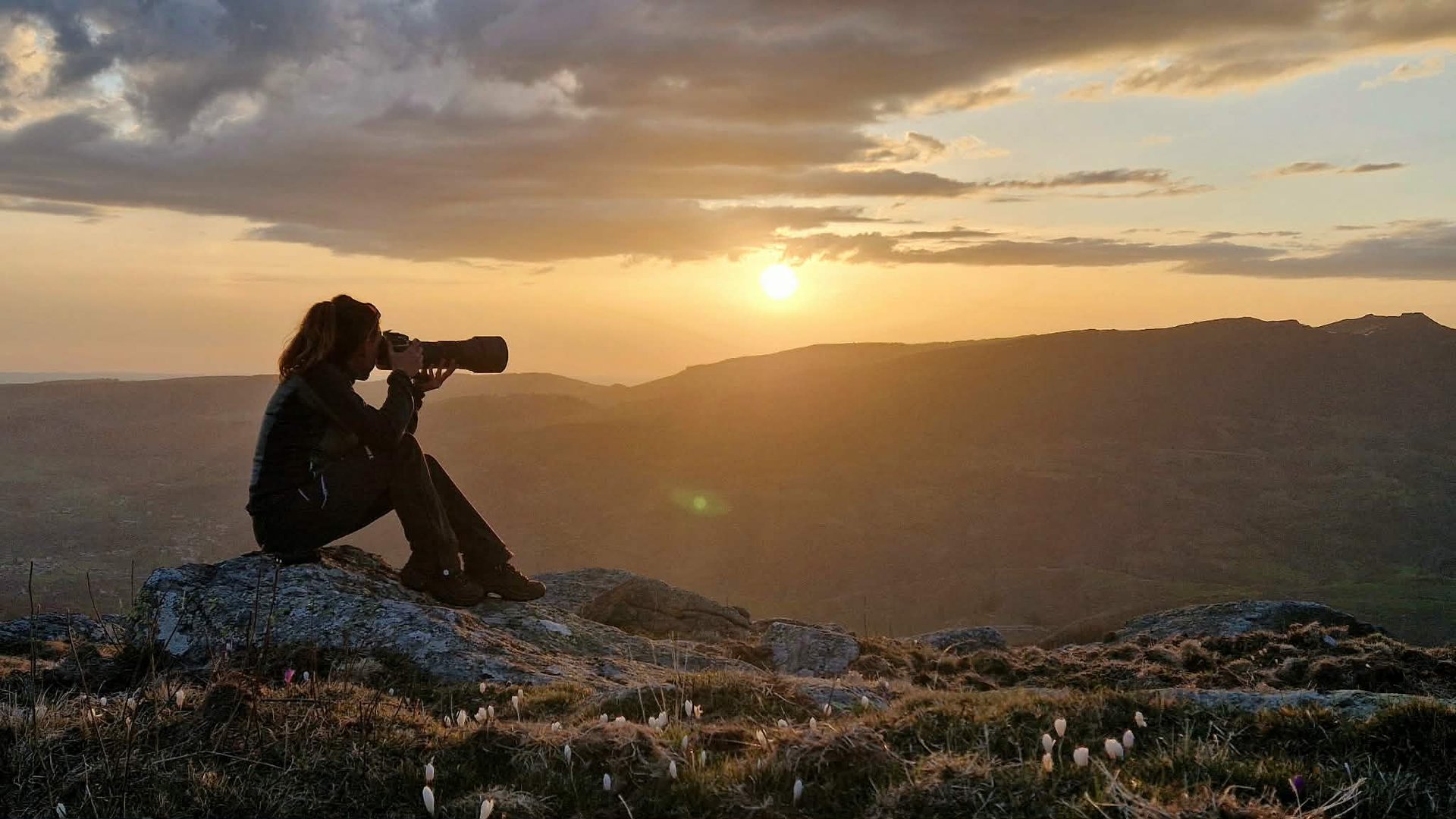 black blue and yellow textile