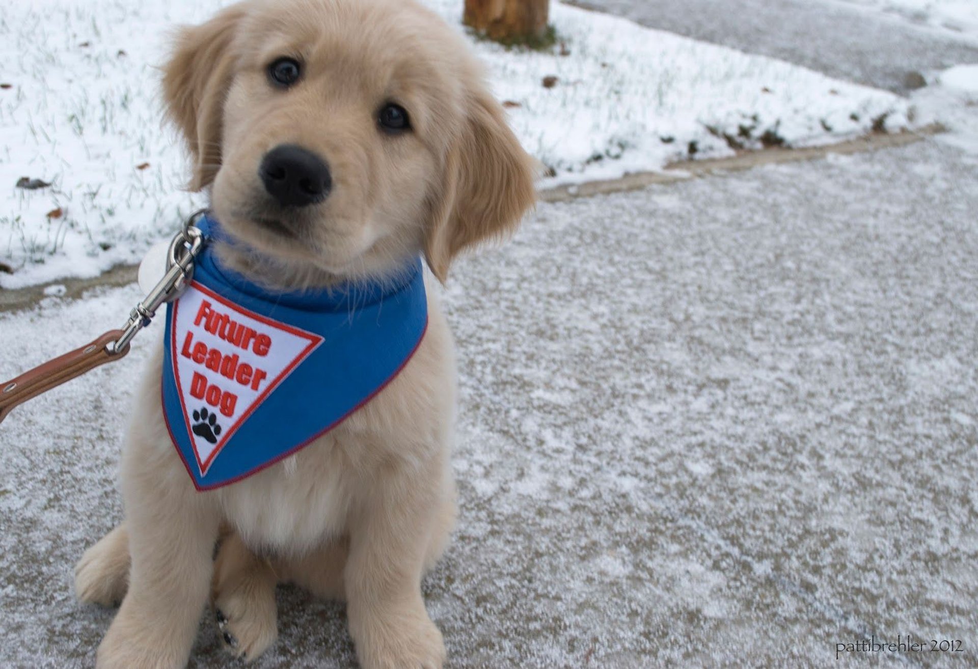 person wearing grey knit sweater
