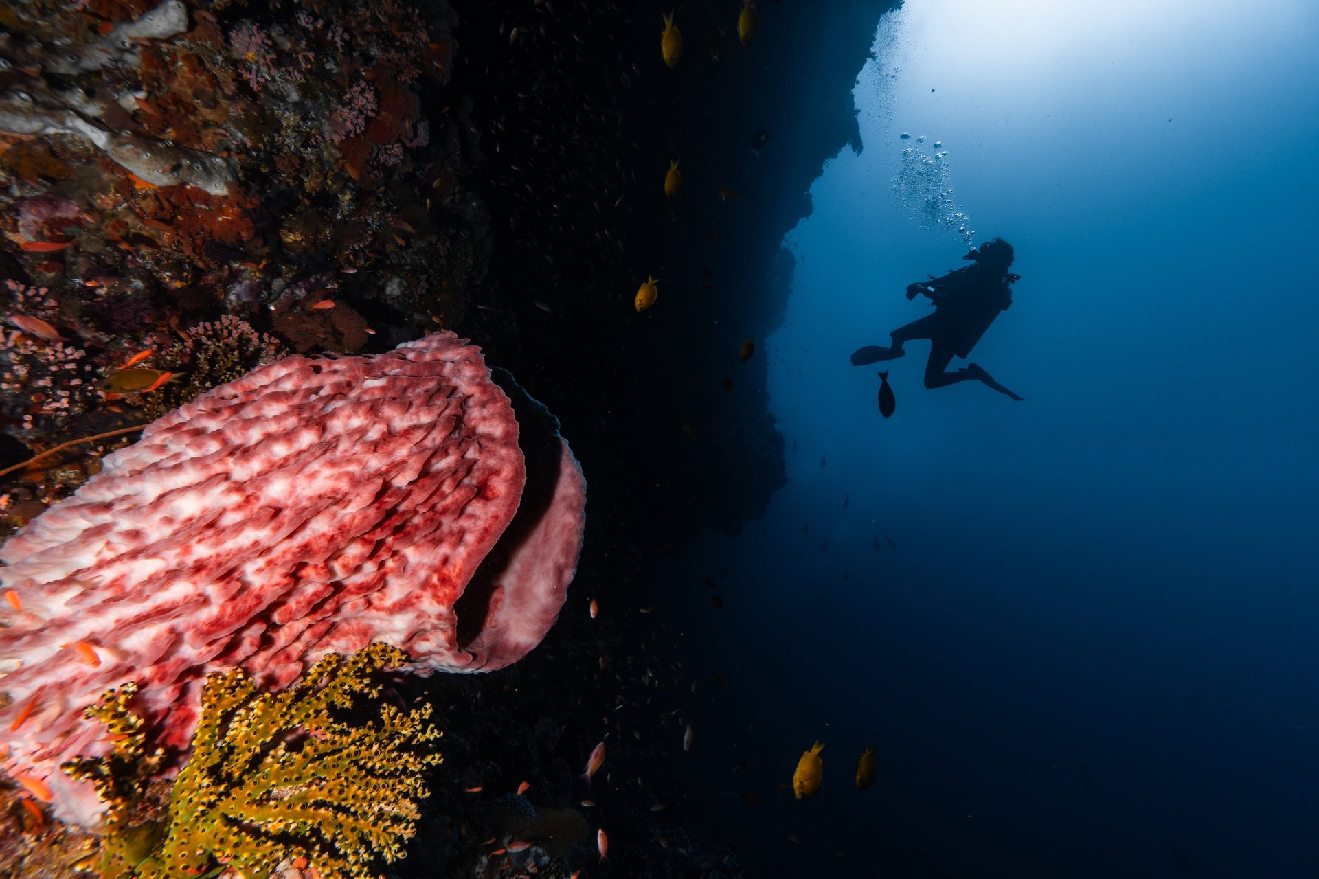 black blue and yellow textile