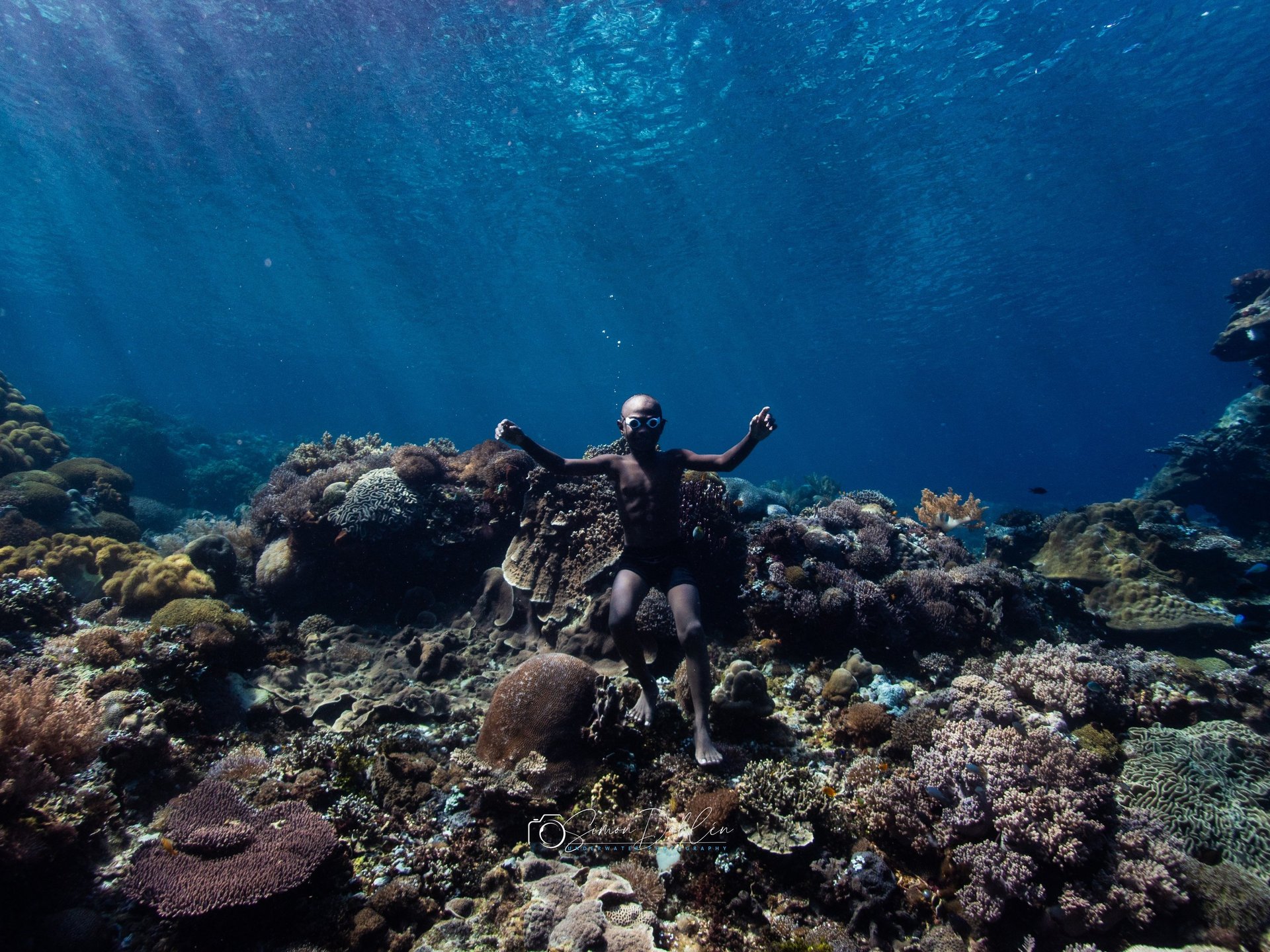 black and white bed linen