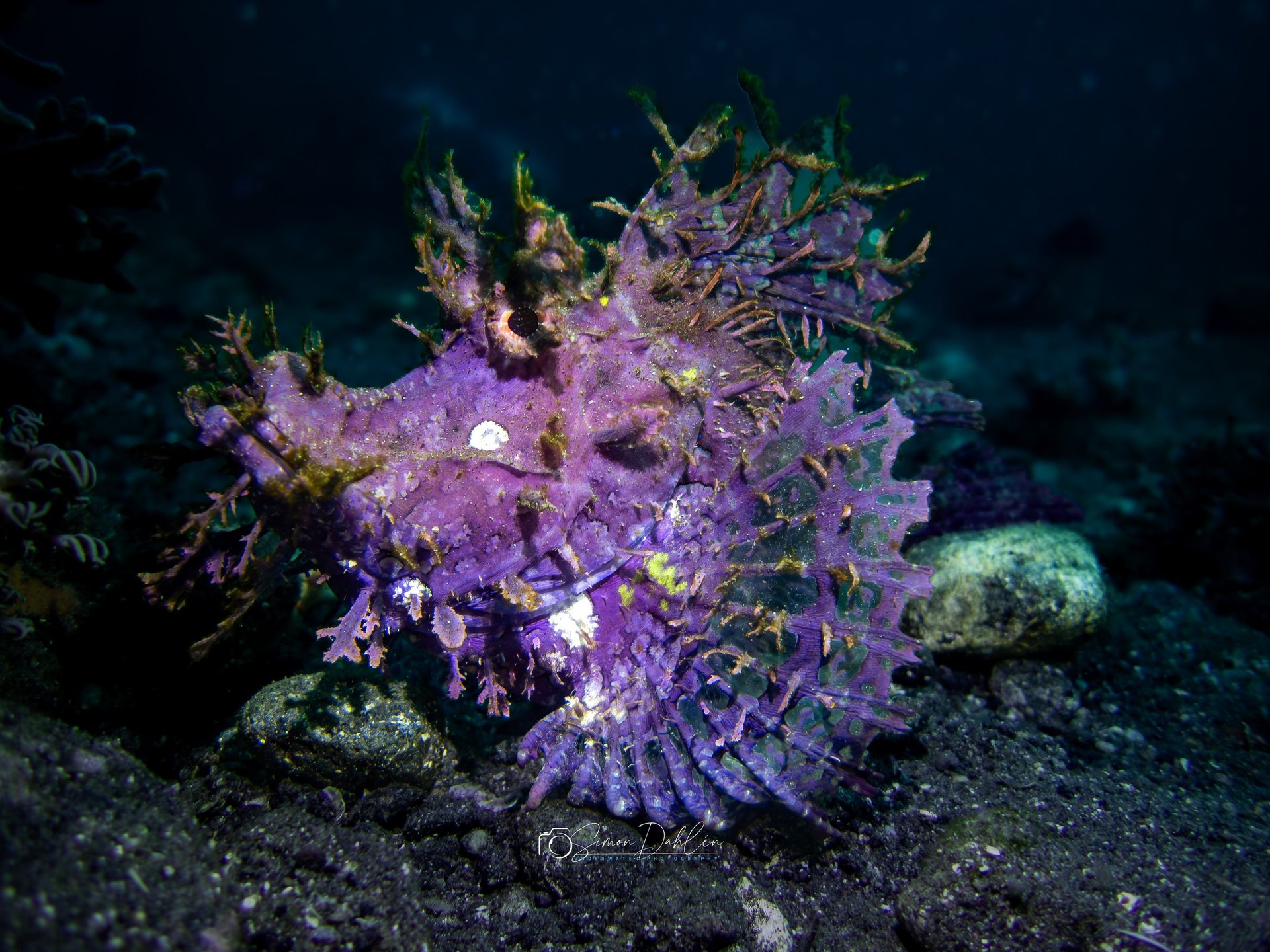 black blue and yellow textile