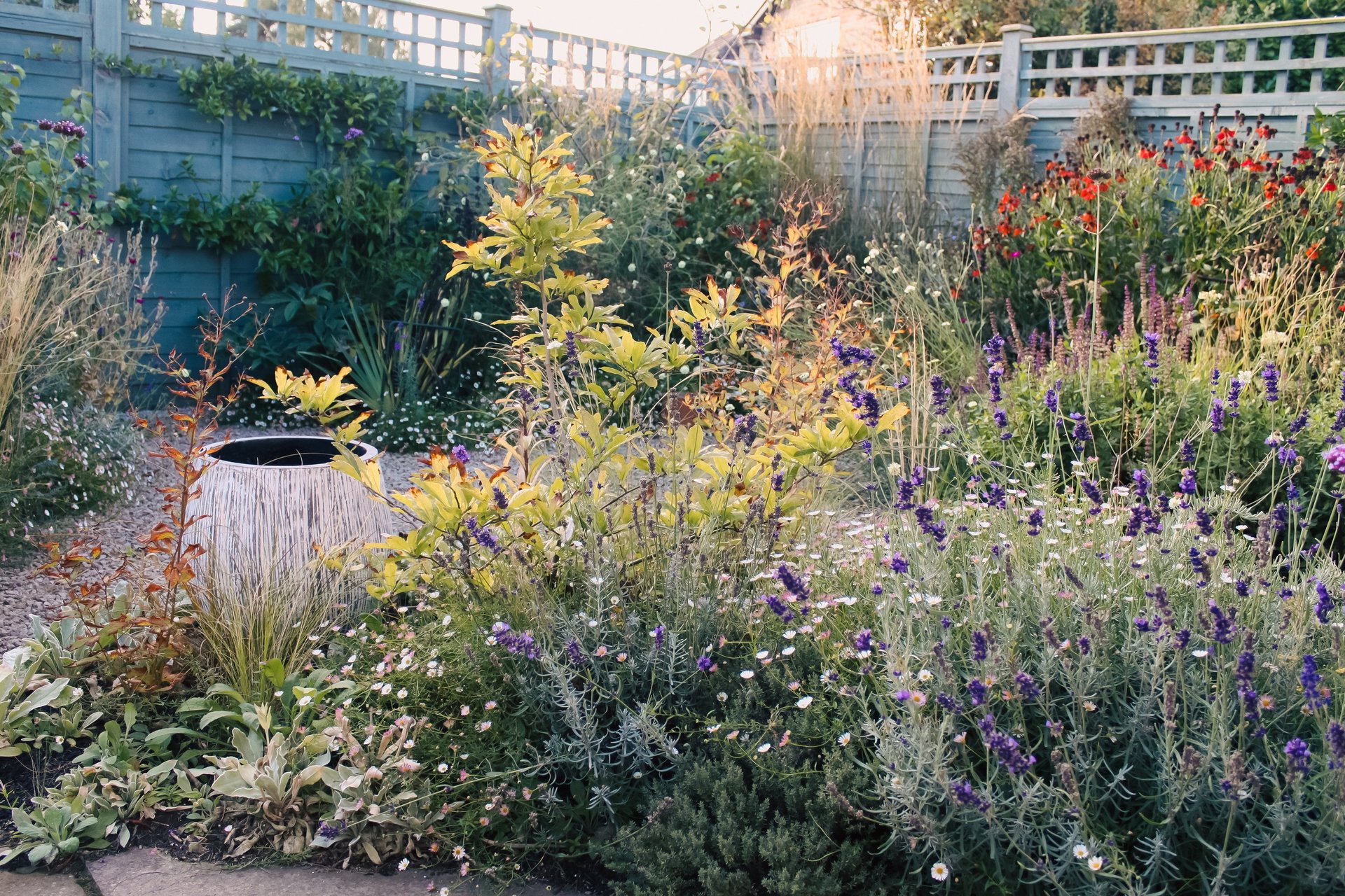 Vibrant garden with colourful flowers, a large bespoke planter, and a blue wooden fence covered in greenery.
