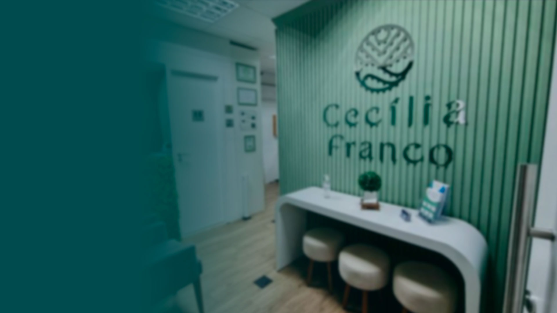 yellow sunflower field during daytime