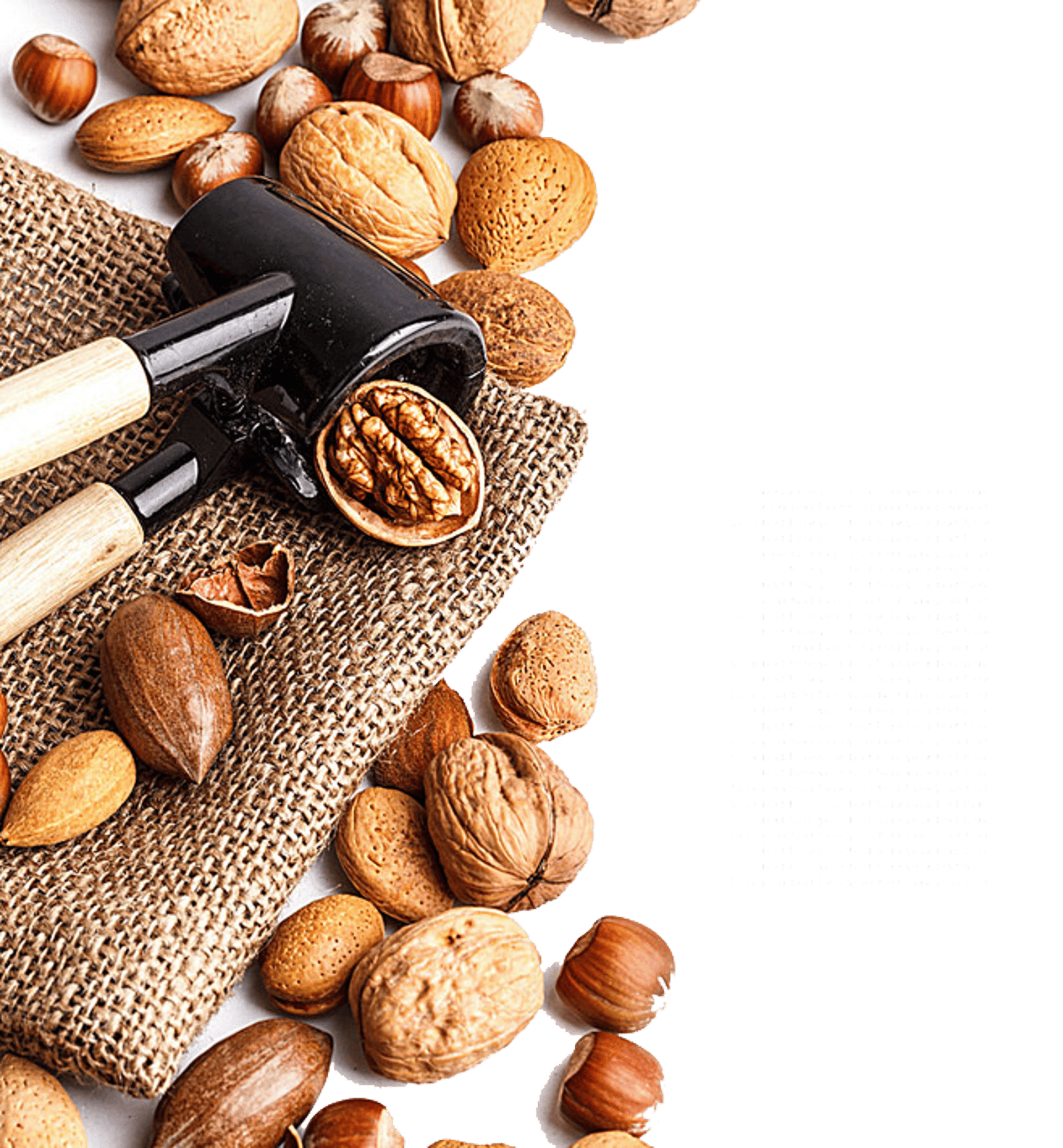 brown nuts on white ceramic bowls