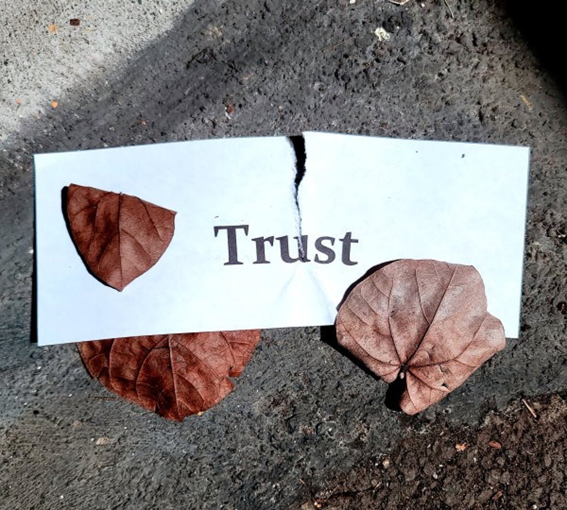 trusting-yourself