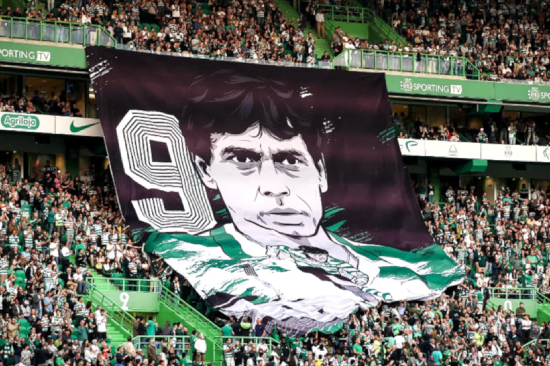 crowd of people standing while holding green banners
