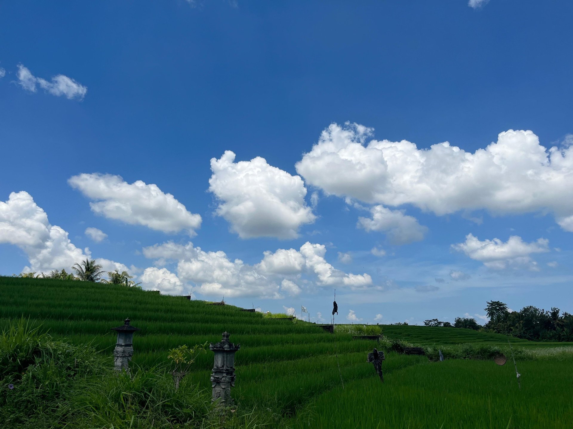 woman wearing yellow long-sleeved dress under white clouds and blue sky during daytime