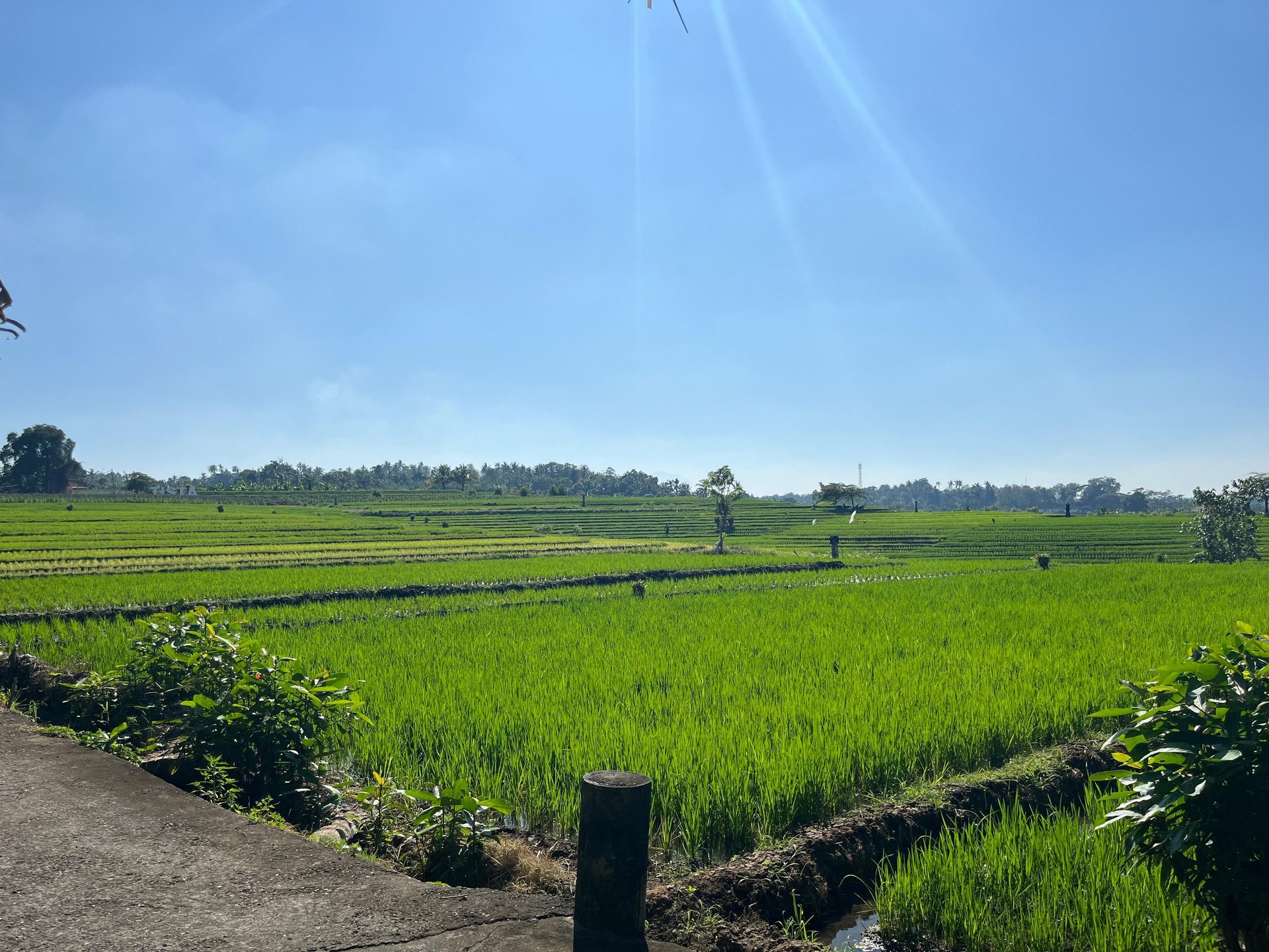 black and brown leather padded tub sofa