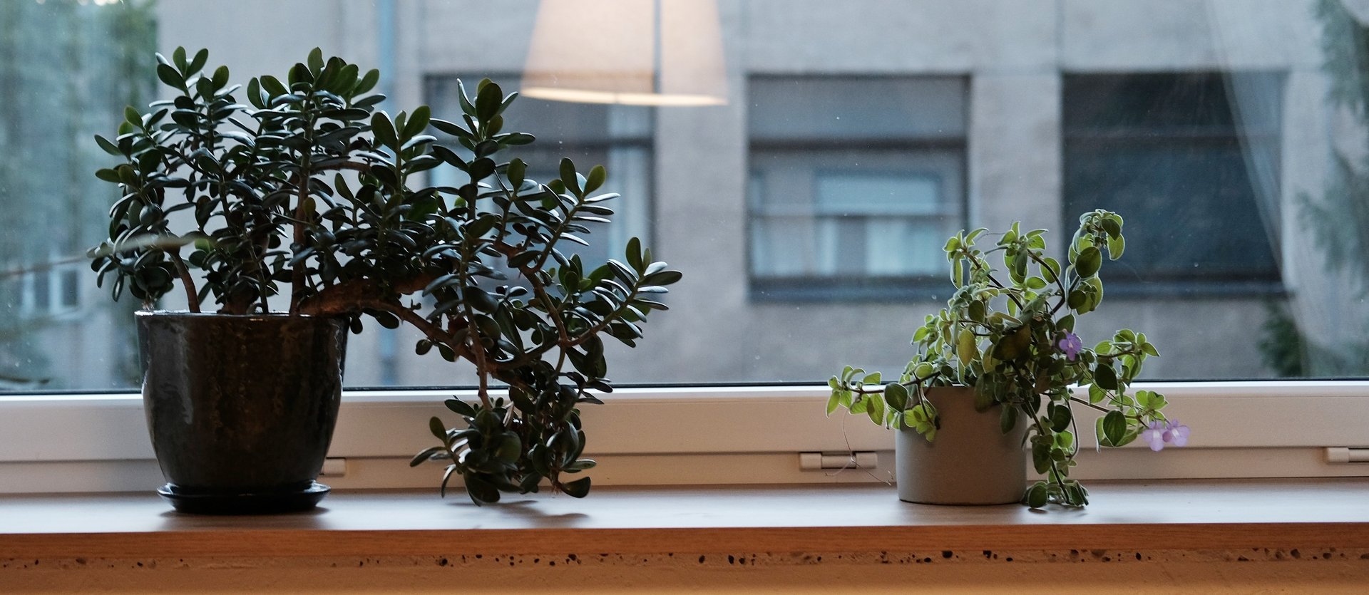 Egzistencinė terapija Vilniuje