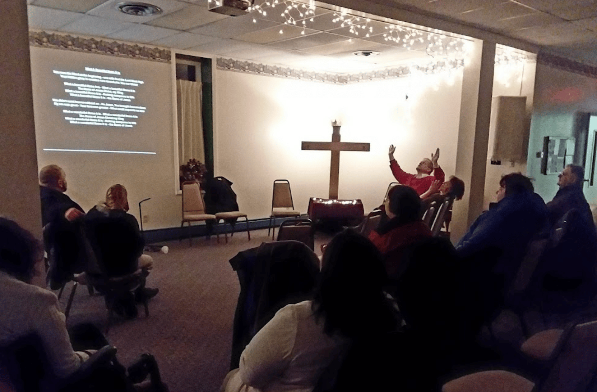 flying white and brown pigeon