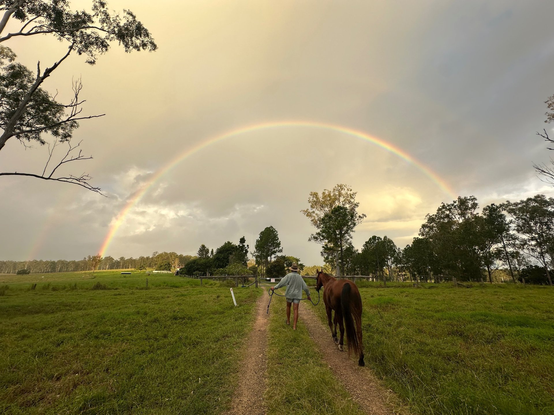 woman wearing yellow long-sleeved dress under white clouds and blue sky during daytime