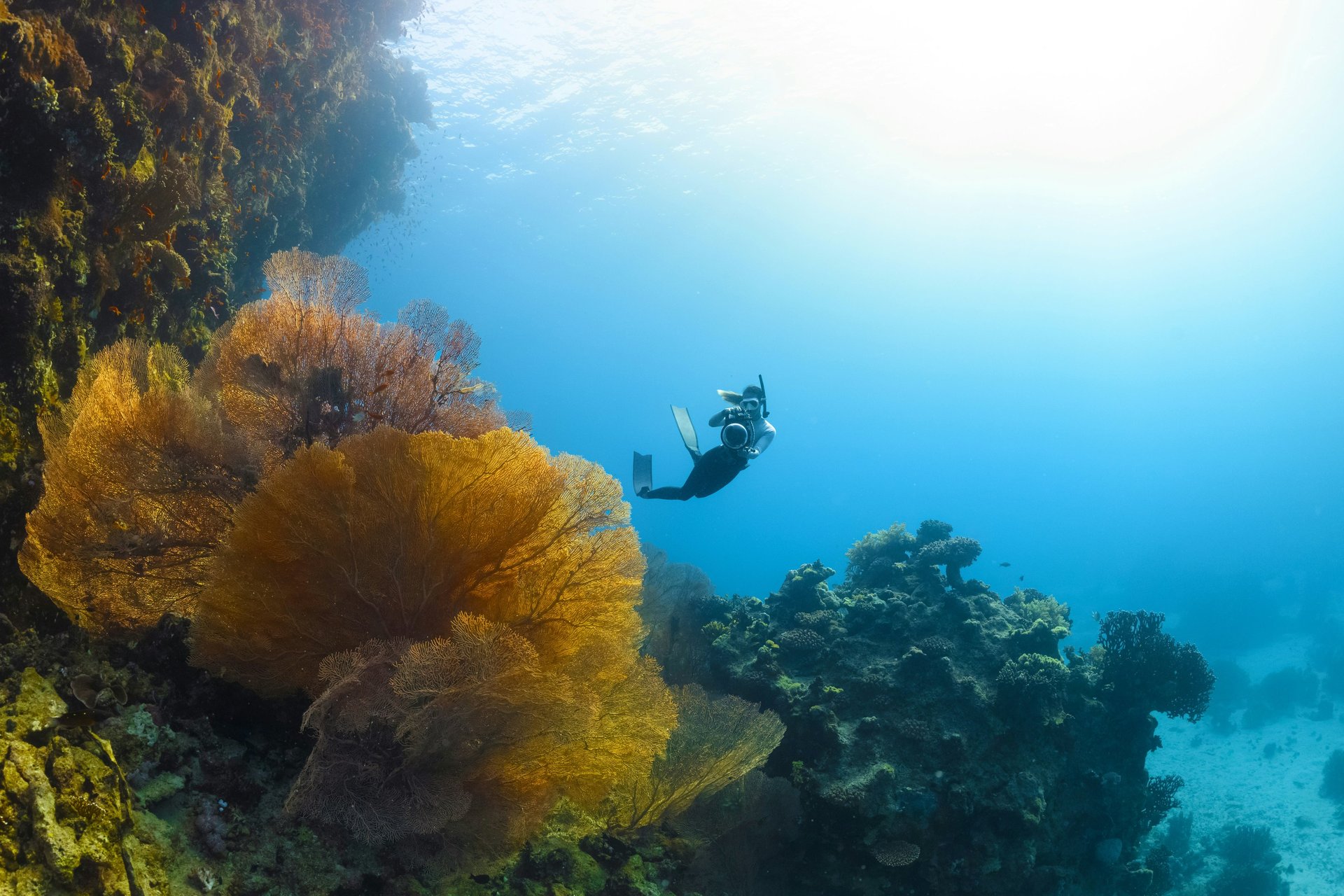 a person swimming in the ocean with a mask on