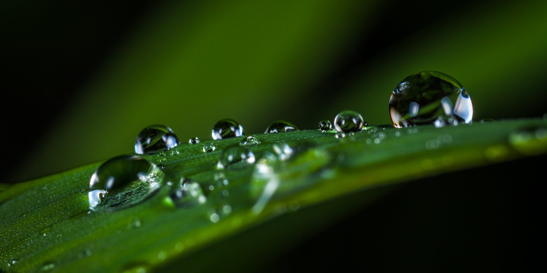 water drop on bucket photo