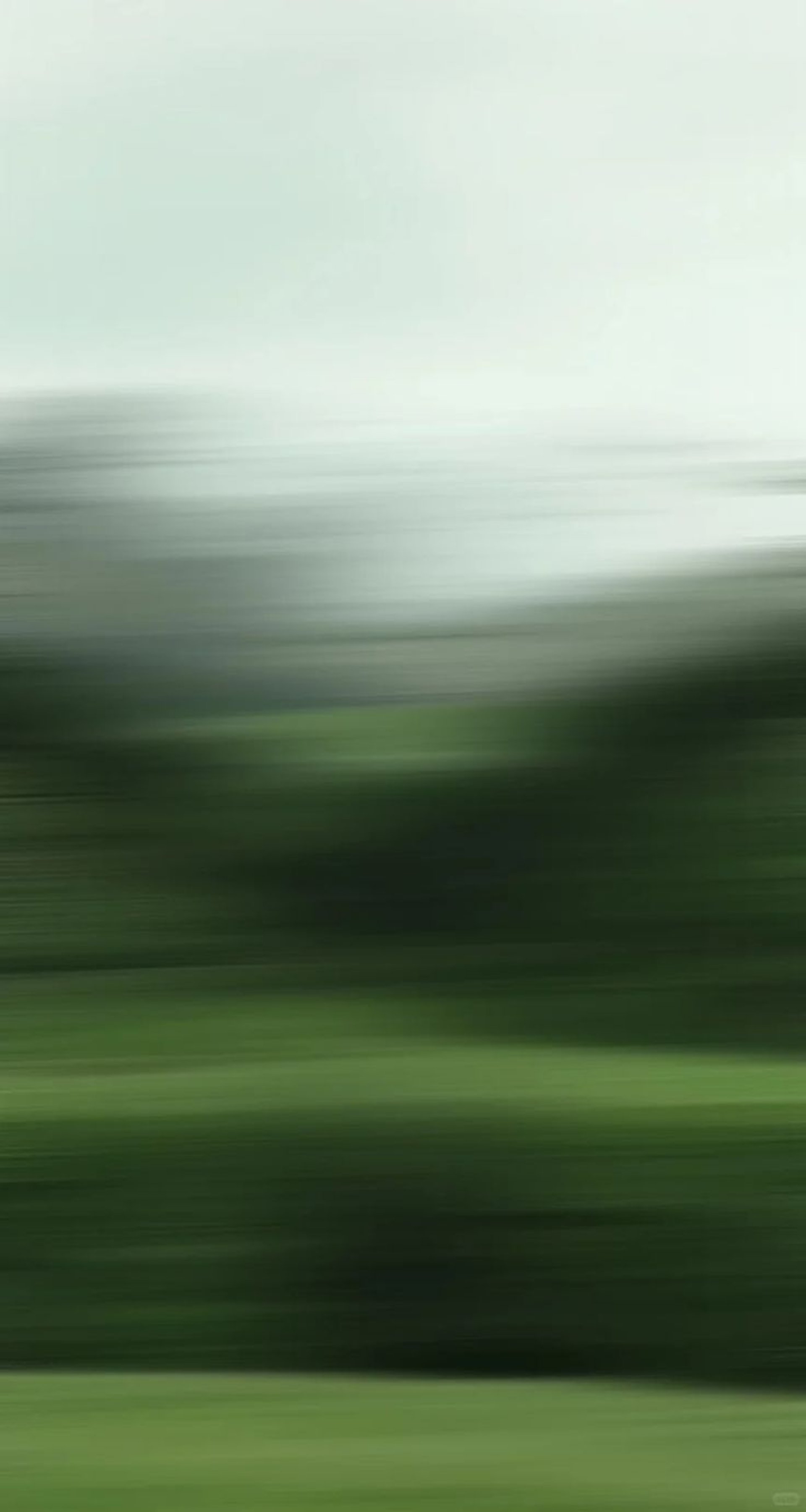 a piece of paper with a bird sitting on top of it