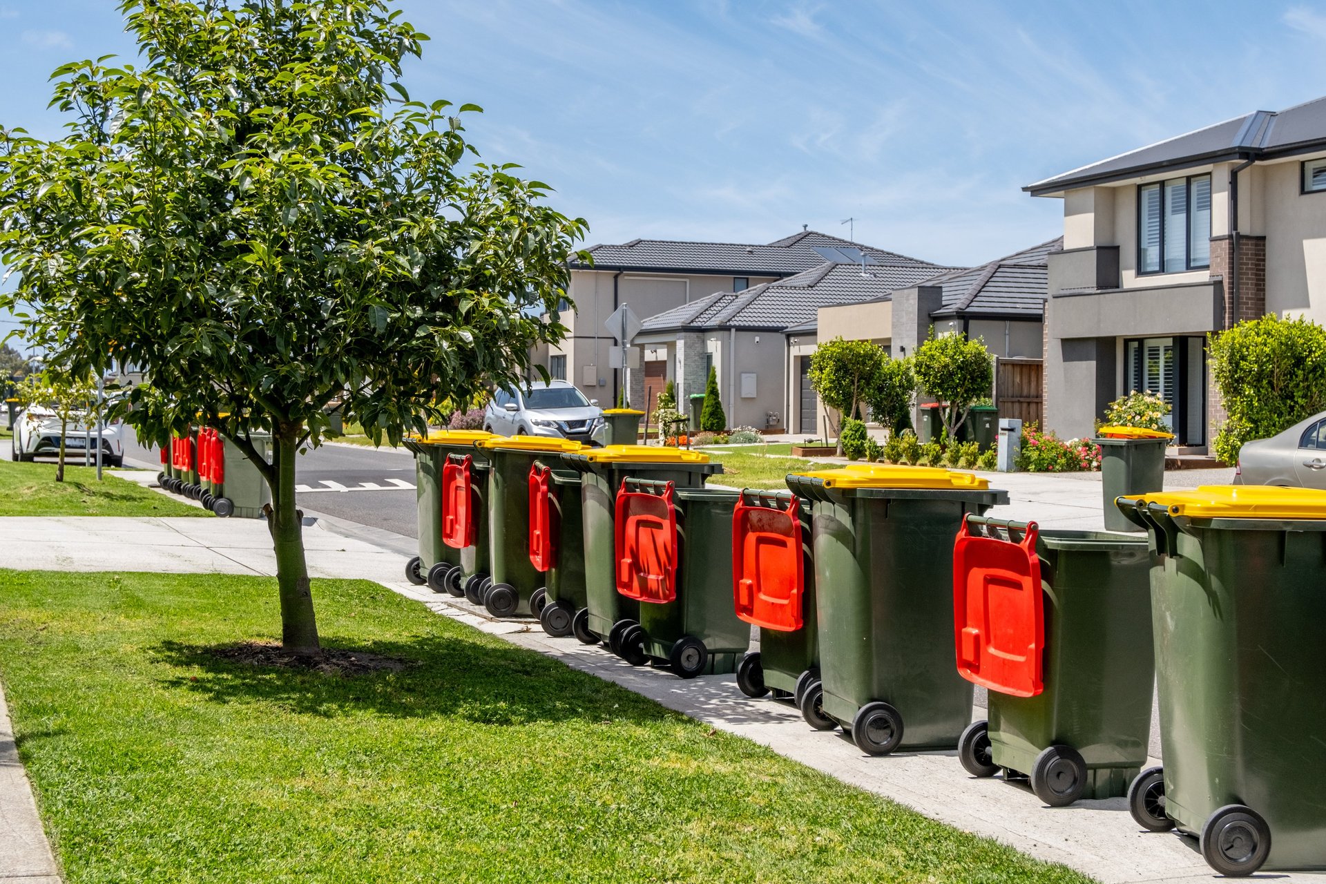 Bins for Collection