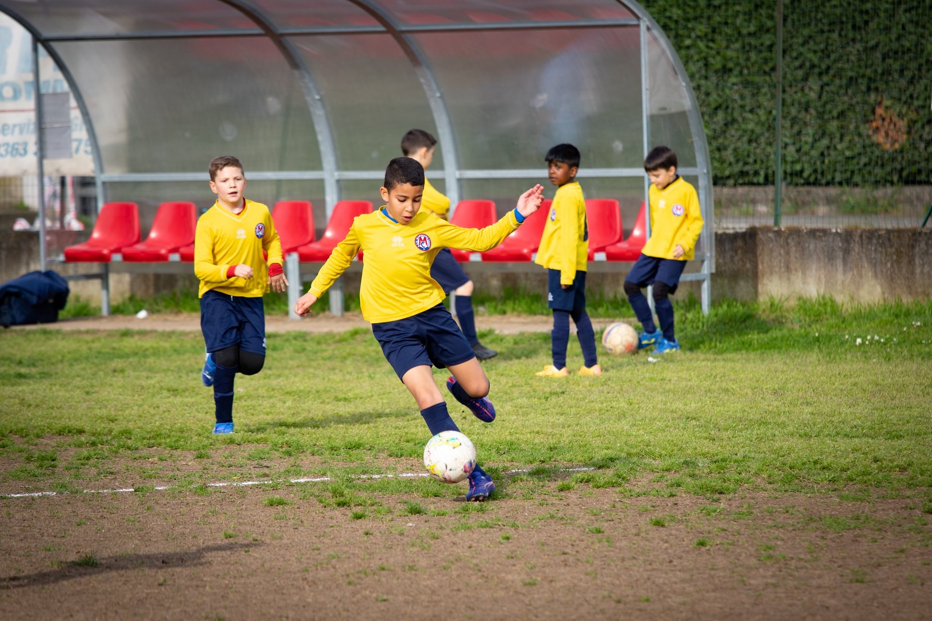 black and brown leather padded tub sofa