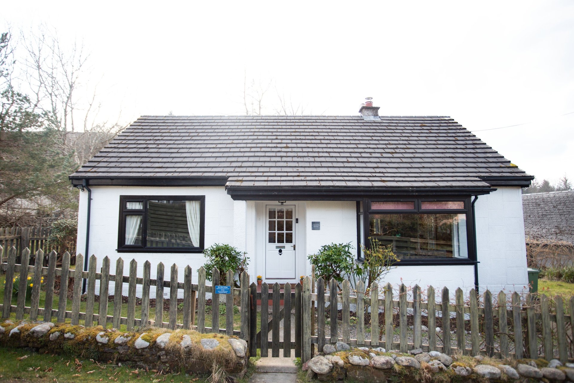 white sheep on green grass field during daytime