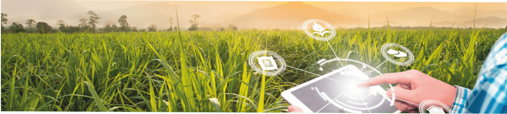 gray computer monitor