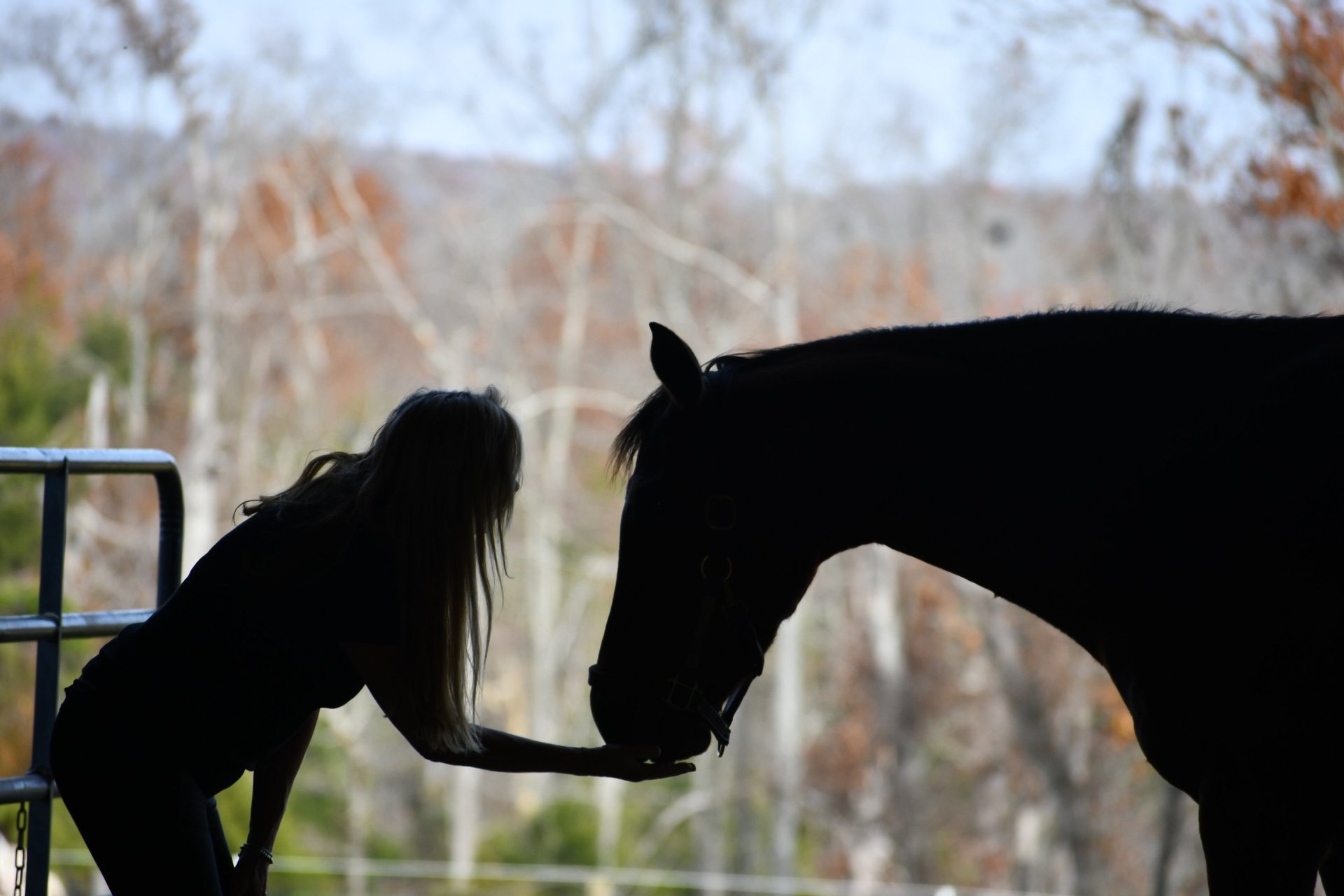 black and white bed linen