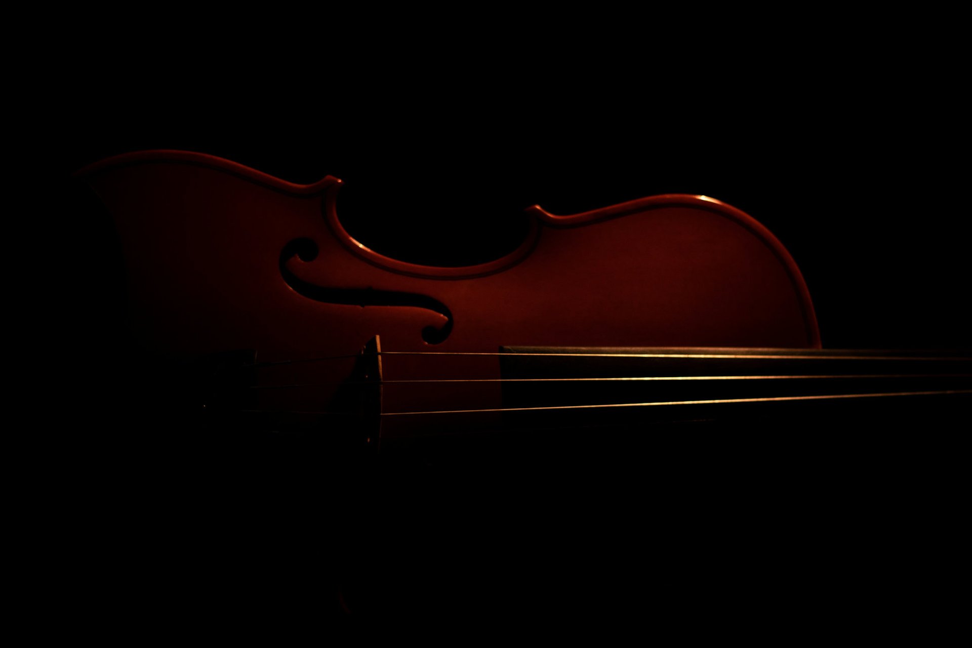 an abstract photo of a curved building with a blue sky in the background