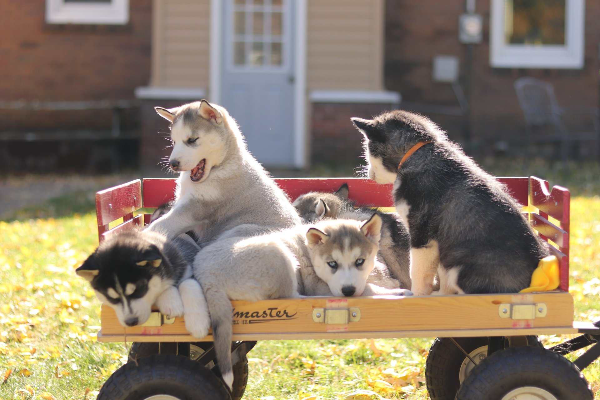 woman wearing yellow long-sleeved dress under white clouds and blue sky during daytime