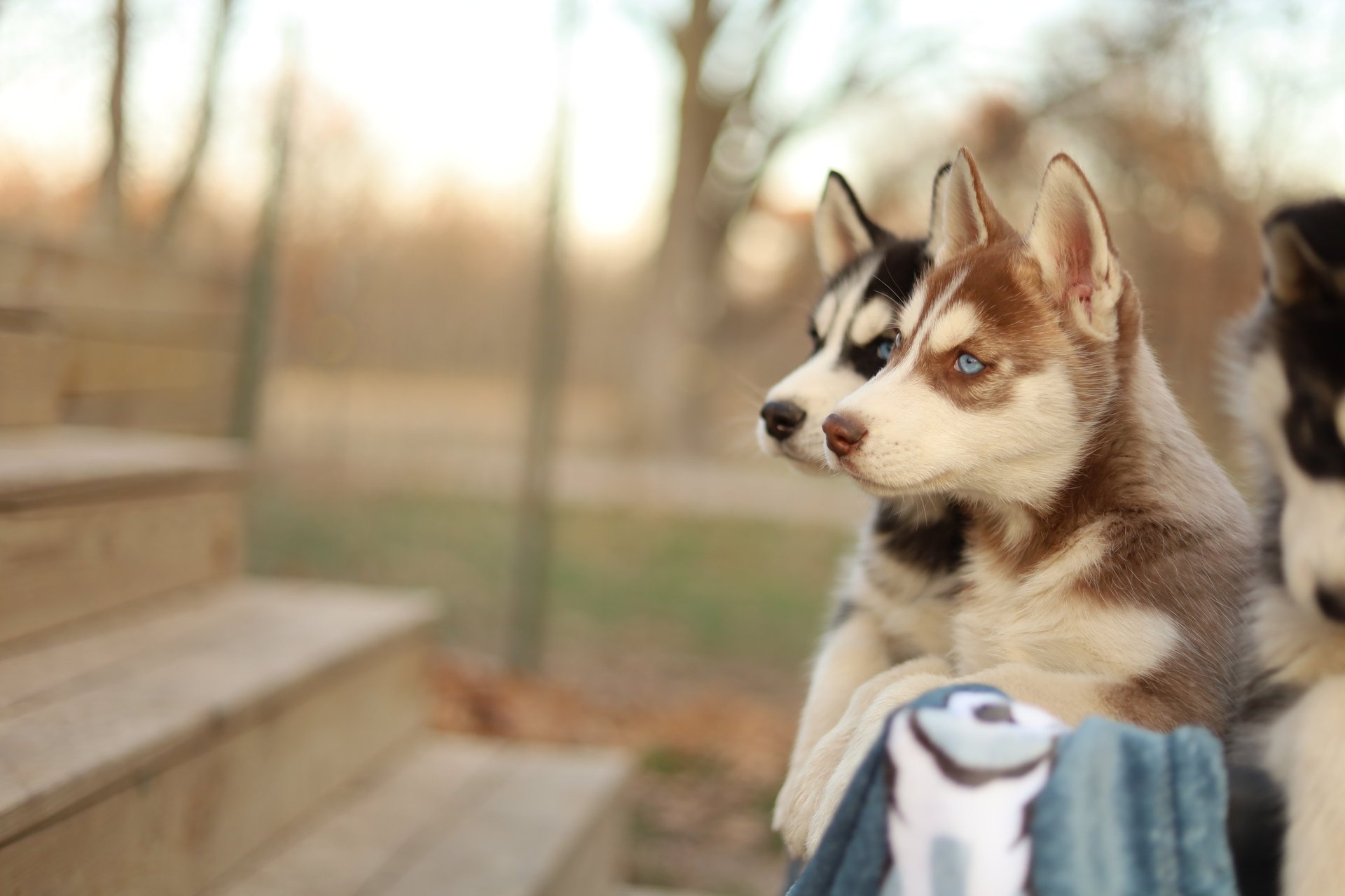 gray computer monitor